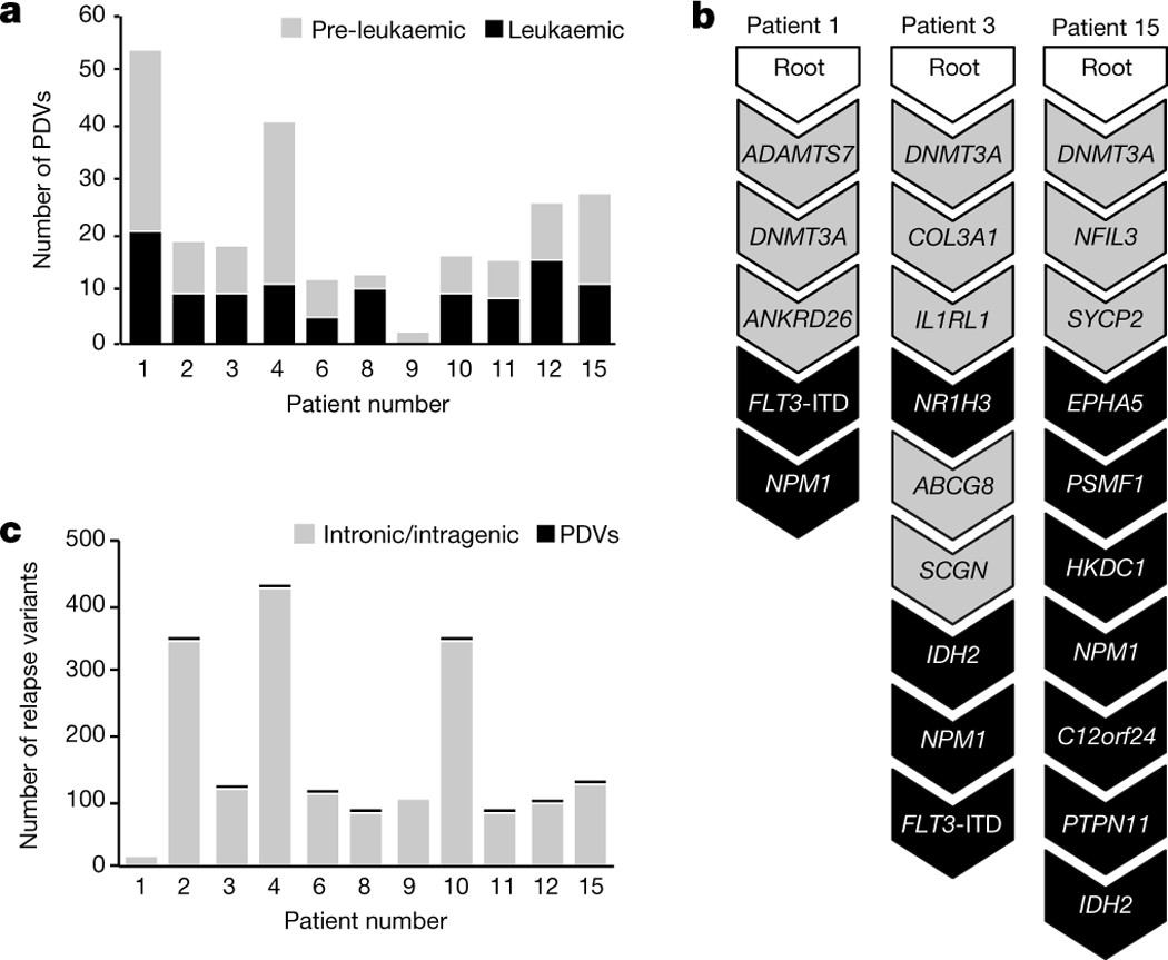 Tracing the origins of relapse in acute myeloid leukaemia to stem cells |  Nature