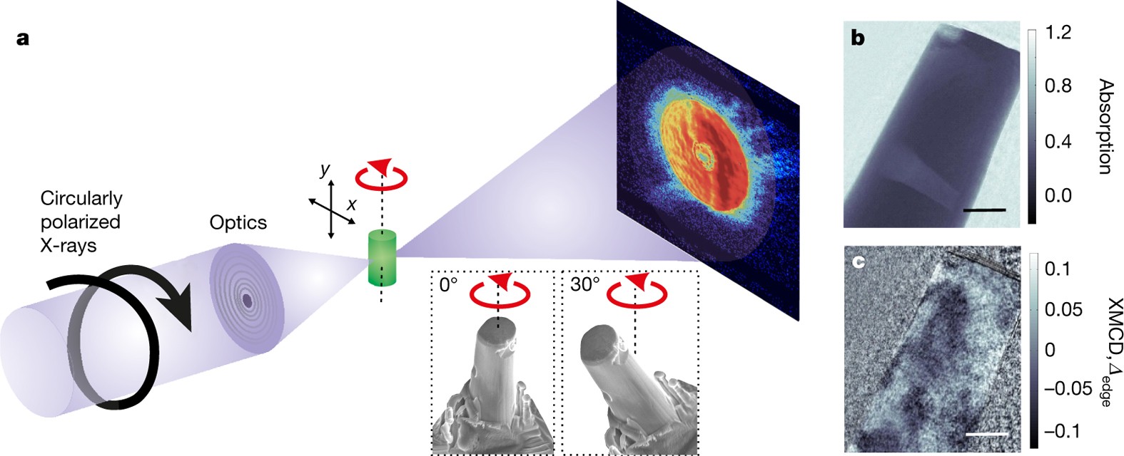 Three-dimensional magnetization structures revealed with X-ray vector nanotomography | Nature Three-dimensional magnetization structures revealed with X-ray vector nanotomography | Nature