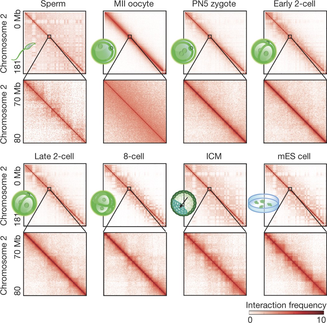 Icm Cross Reference Chart