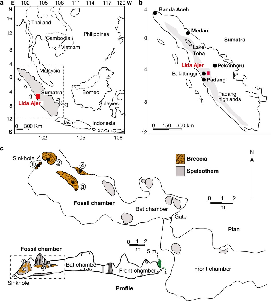 An early modern human presence in Sumatra 73,000–63,000 years ago | Nature
