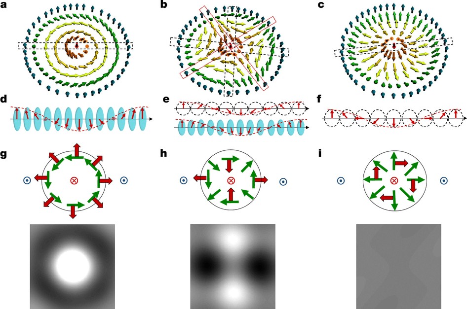 Magnetic Antiskyrmions Above Room Temperature In Tetragonal