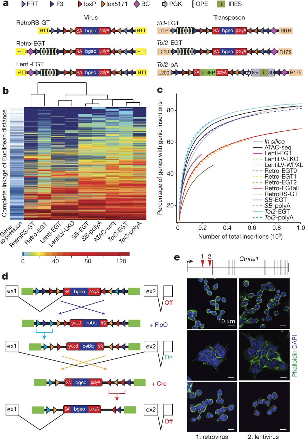 A Reversible Haploid Mouse Embryonic Stem Cell Biobank Resource For Functional Genomics Nature
