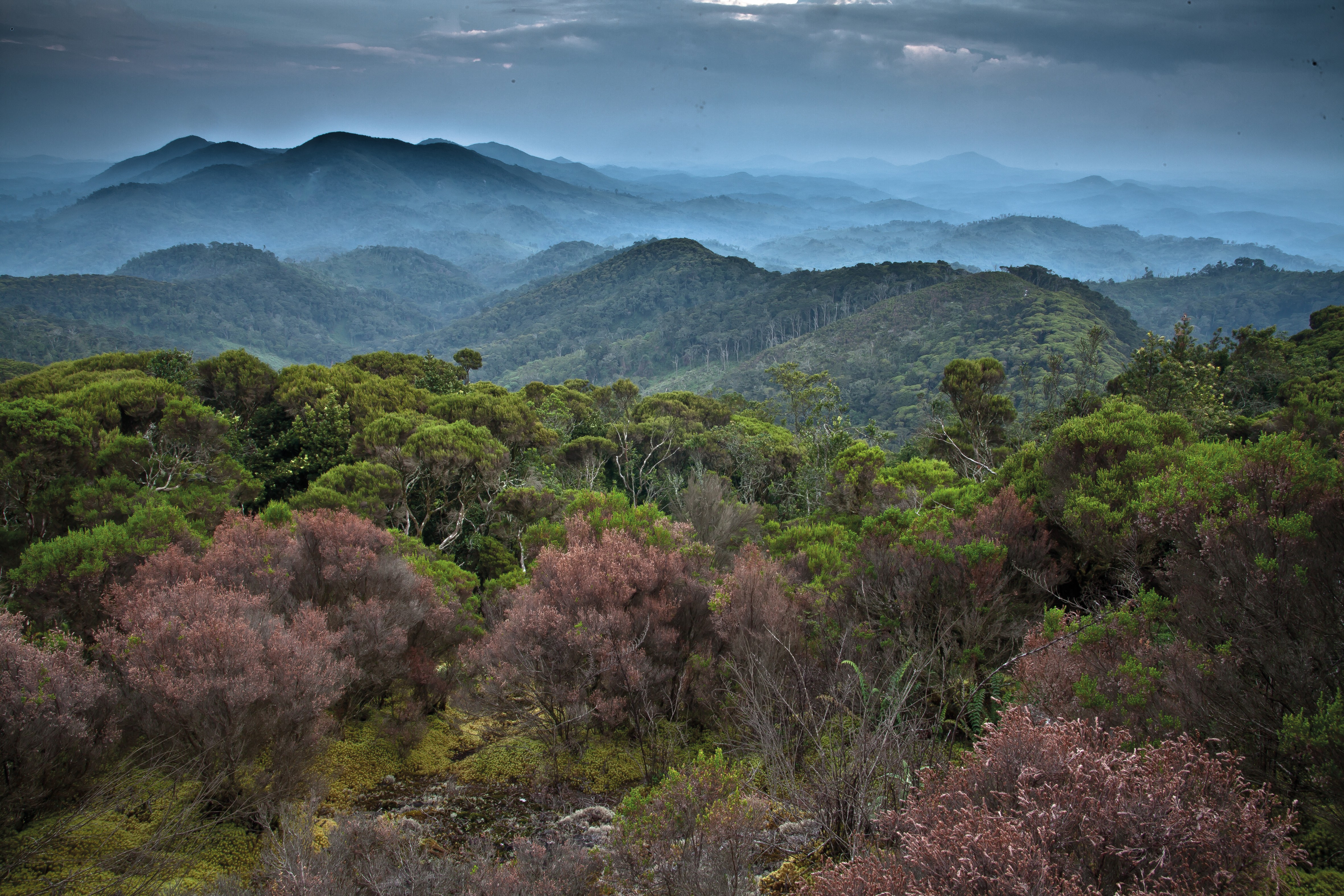 Visum weekend Garderobe A global plan for nature conservation | Nature