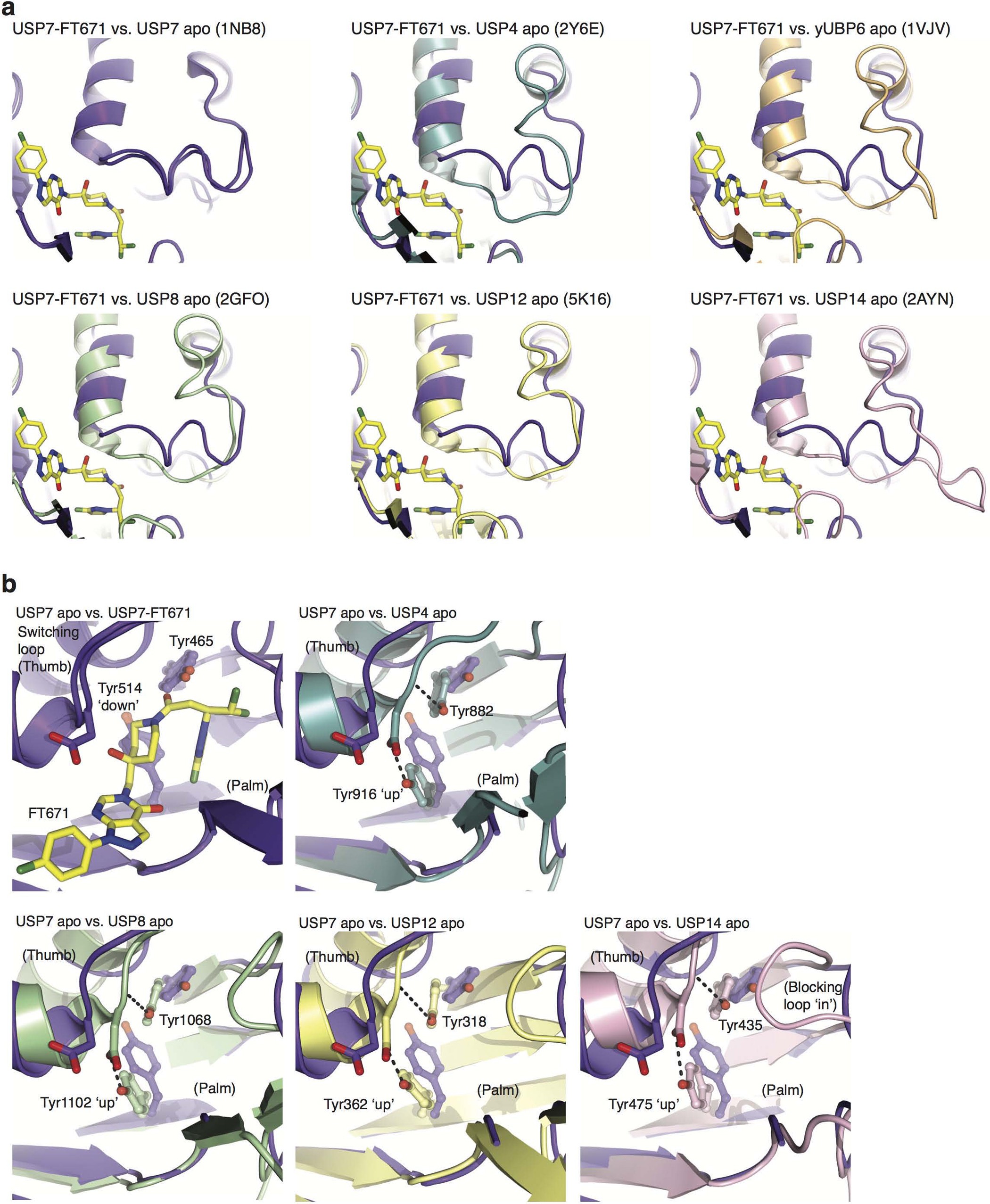 Extended Data Figure 5: Molecular basis for USP7 compound specificity.