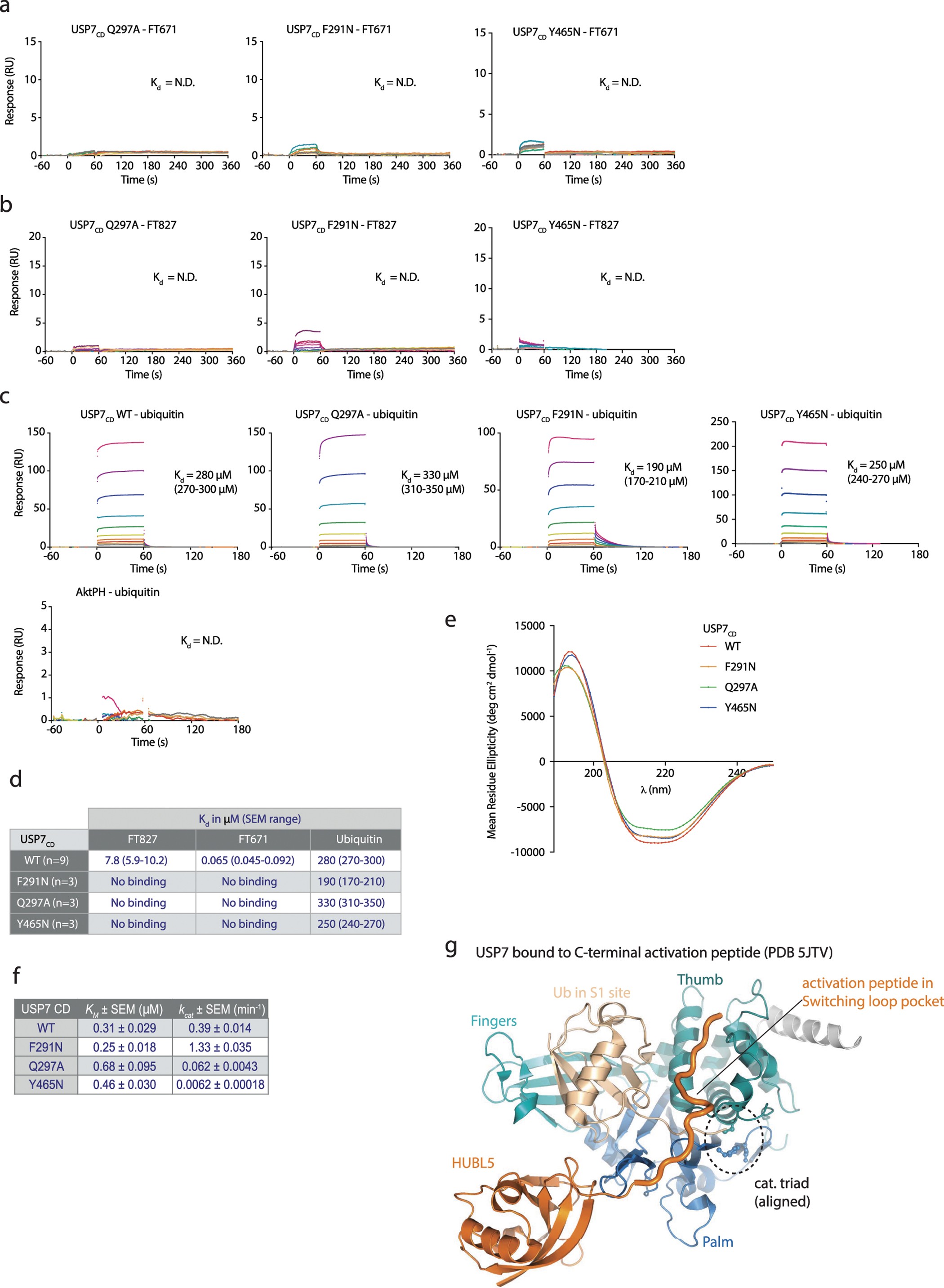 Extended Data Figure 6: Characterization of compound resistant USP7 mutants.