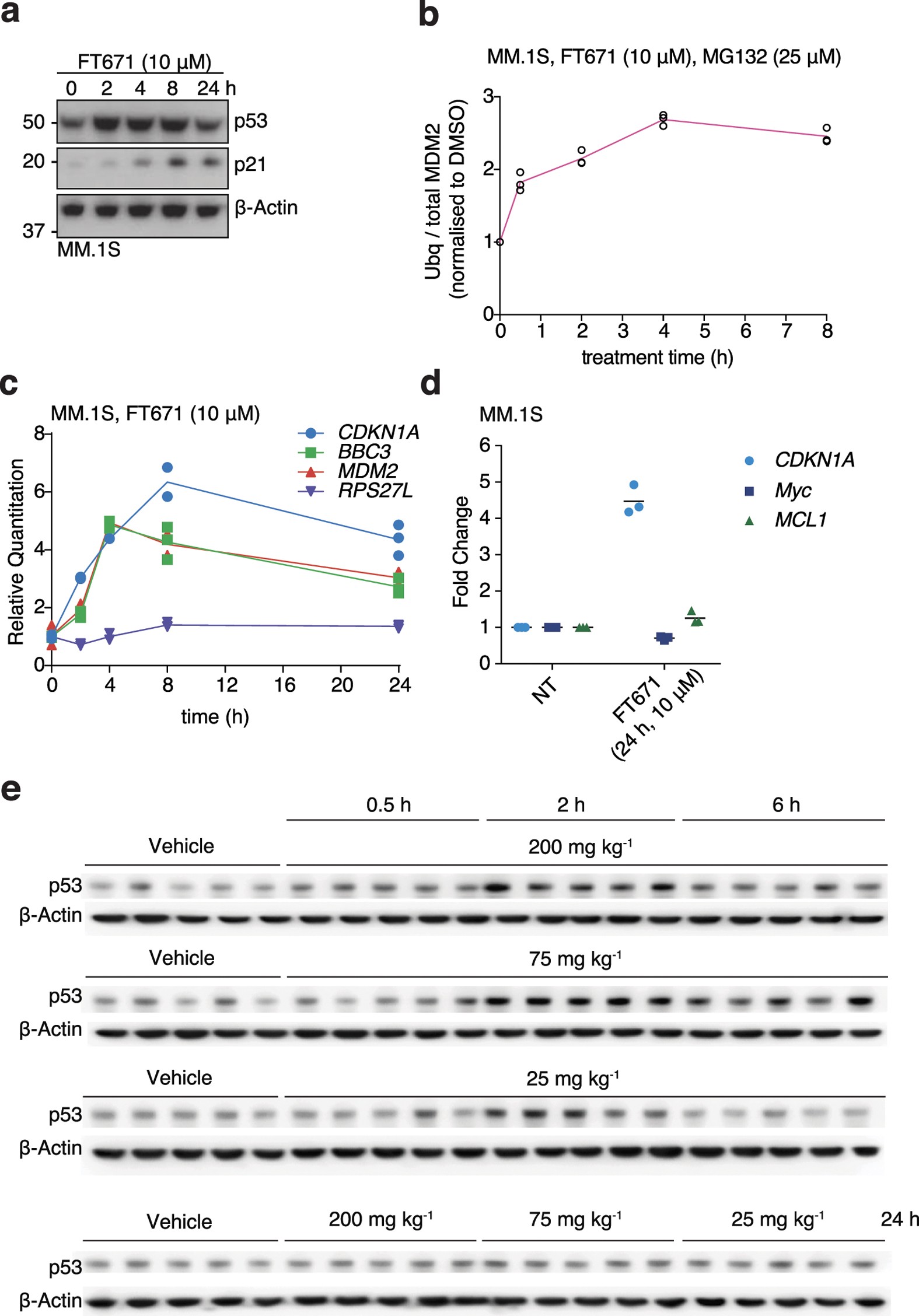 Extended Data Figure 8: Characterization of FT671 effects in vivo.