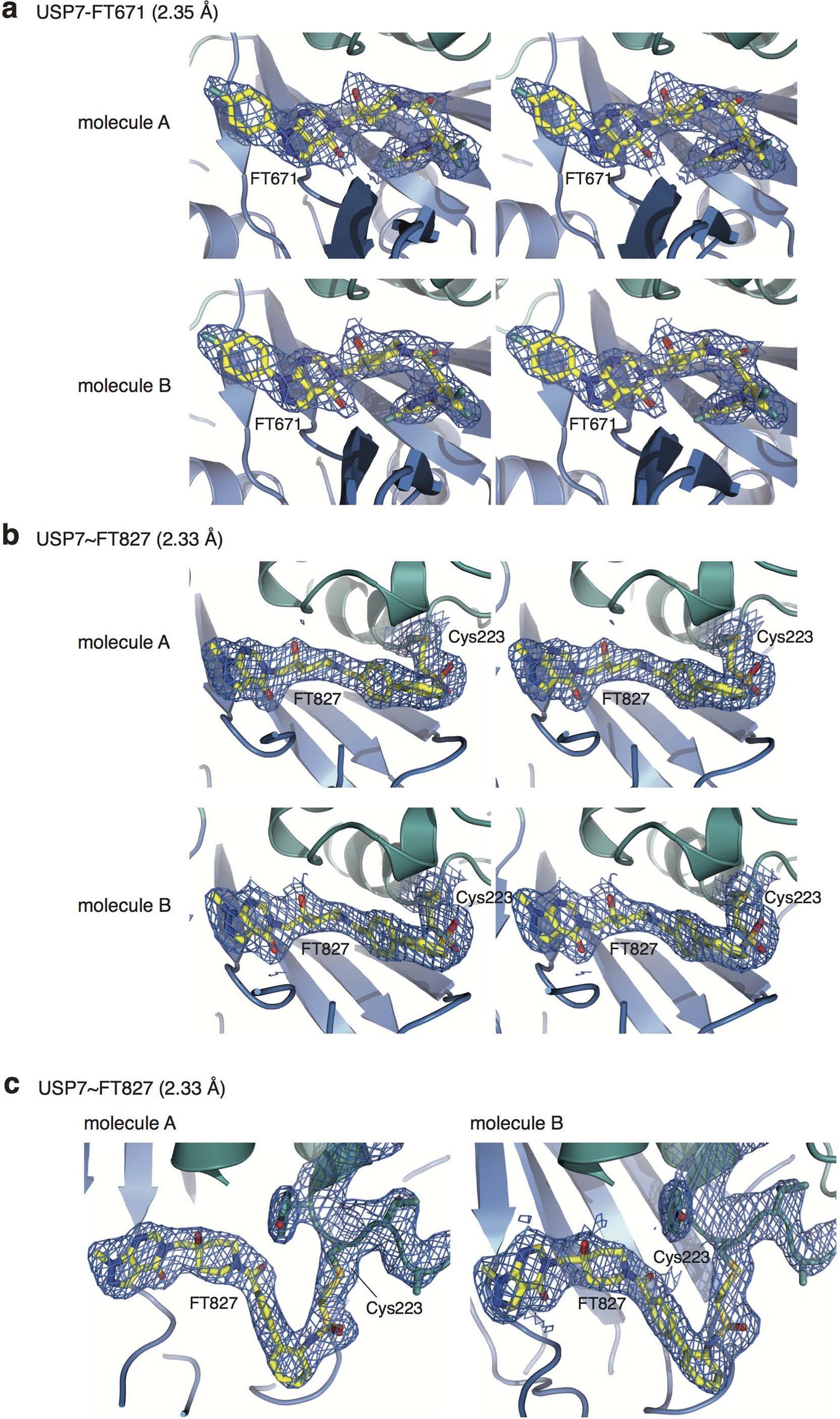 Extended Data Figure 3: Electron density for FT827 and FT671.