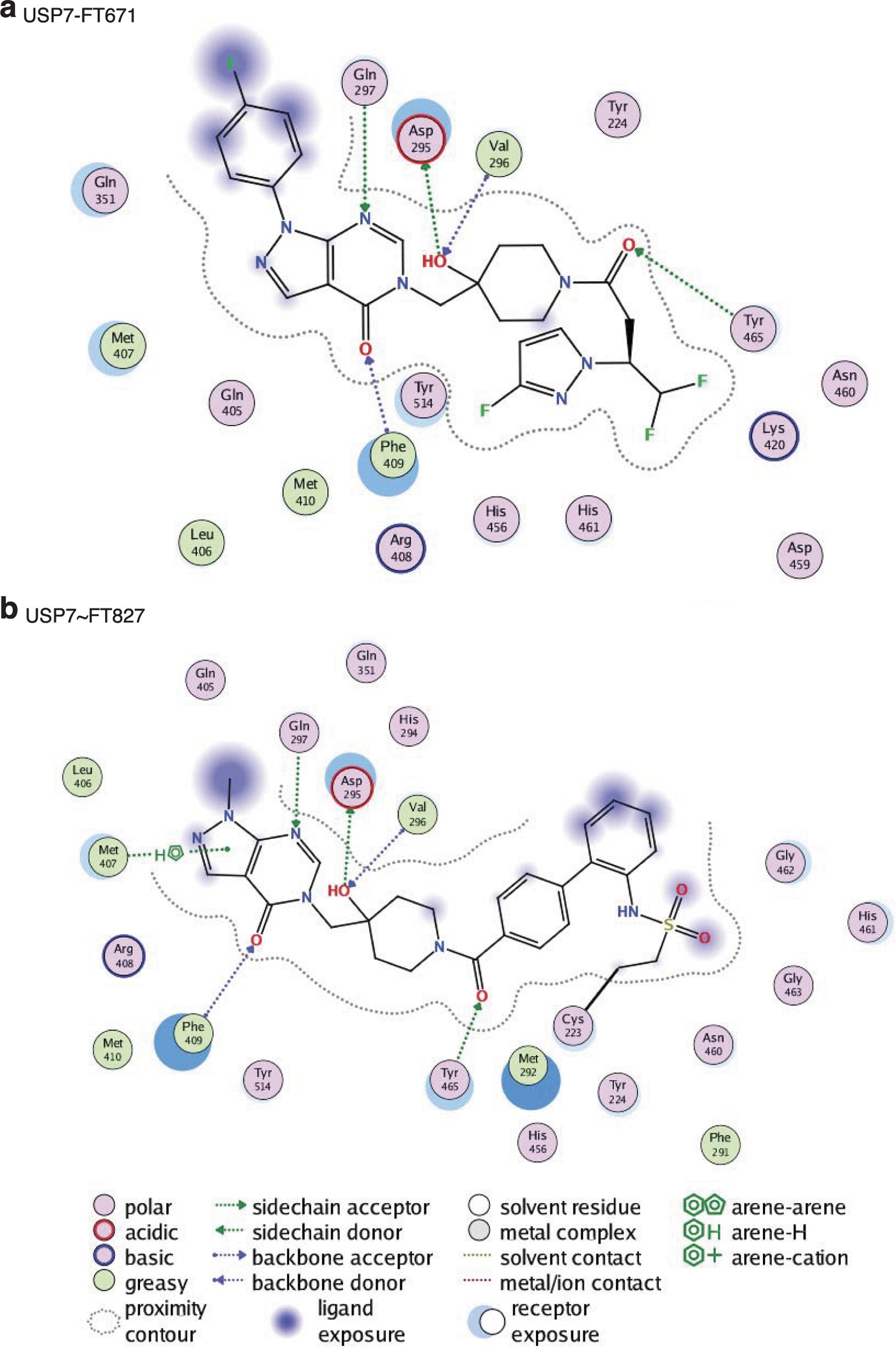 Extended Data Figure 4: Schematic of FT671 and FT827 interactions with USP7.