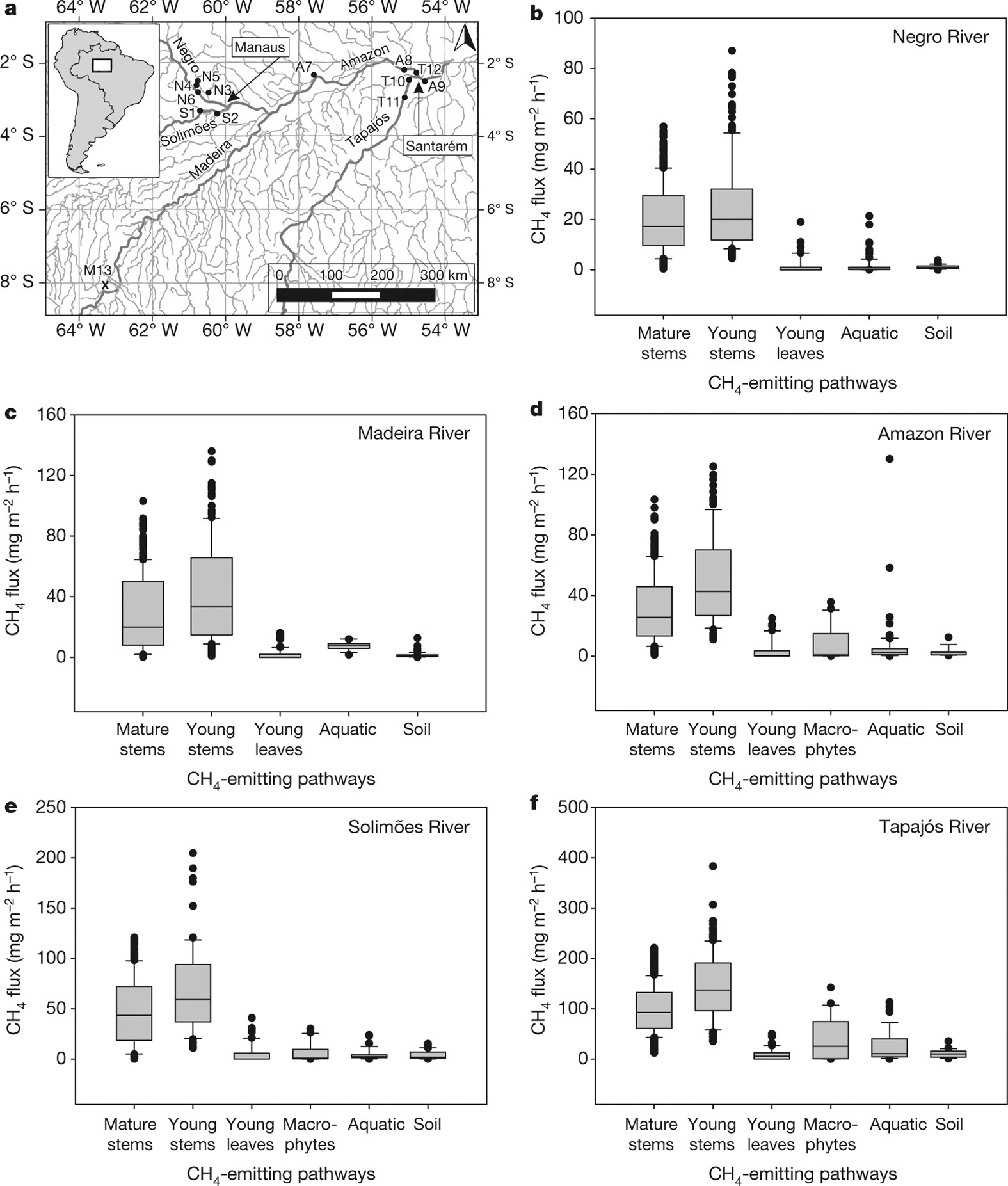 Large emissions from floodplain trees close the Amazon methane budget |  Nature