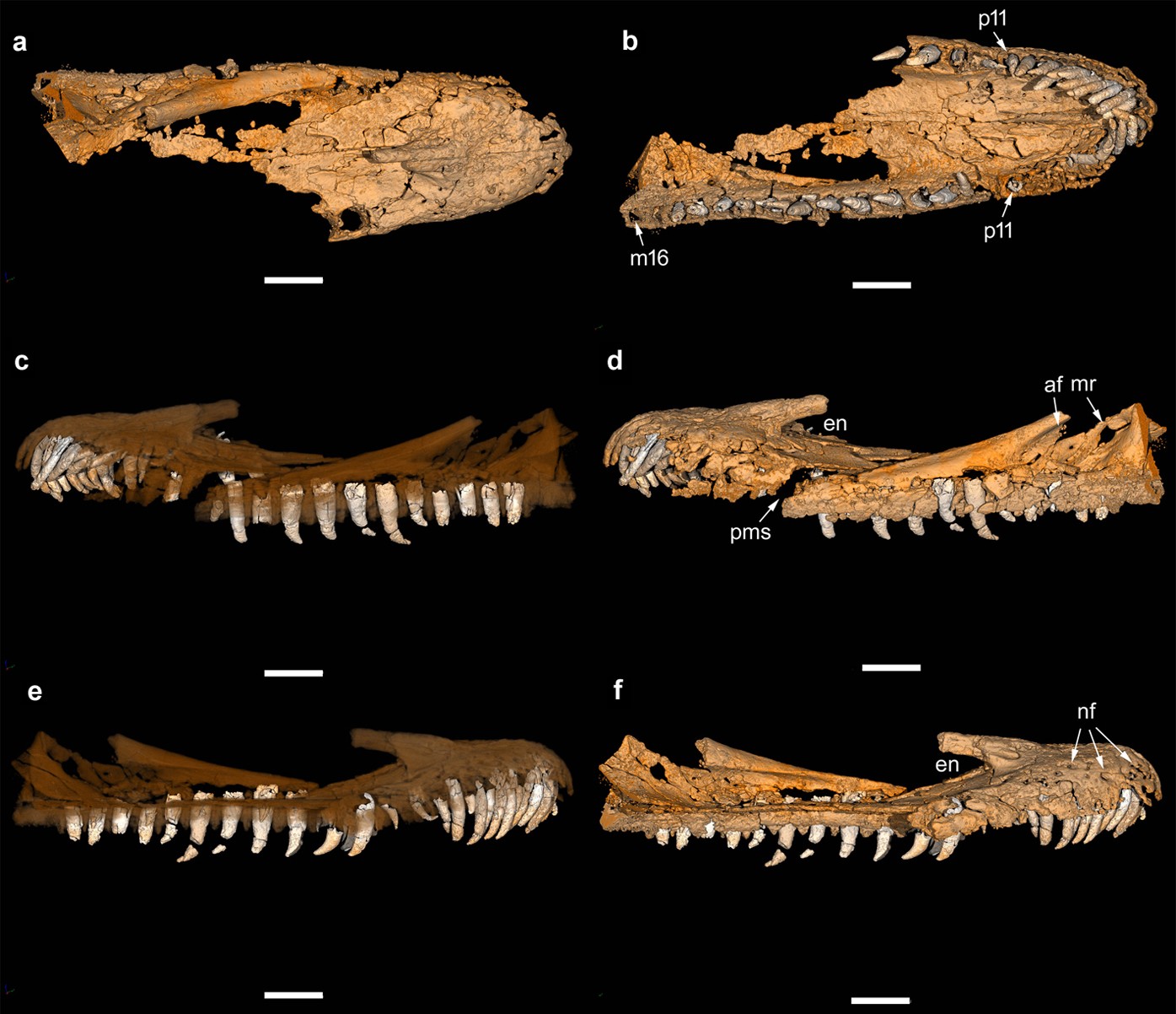Extended Data Figure 6