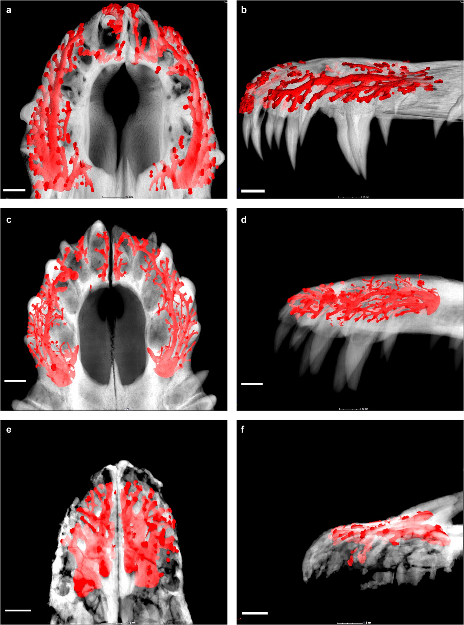 Extended Data Figure 8