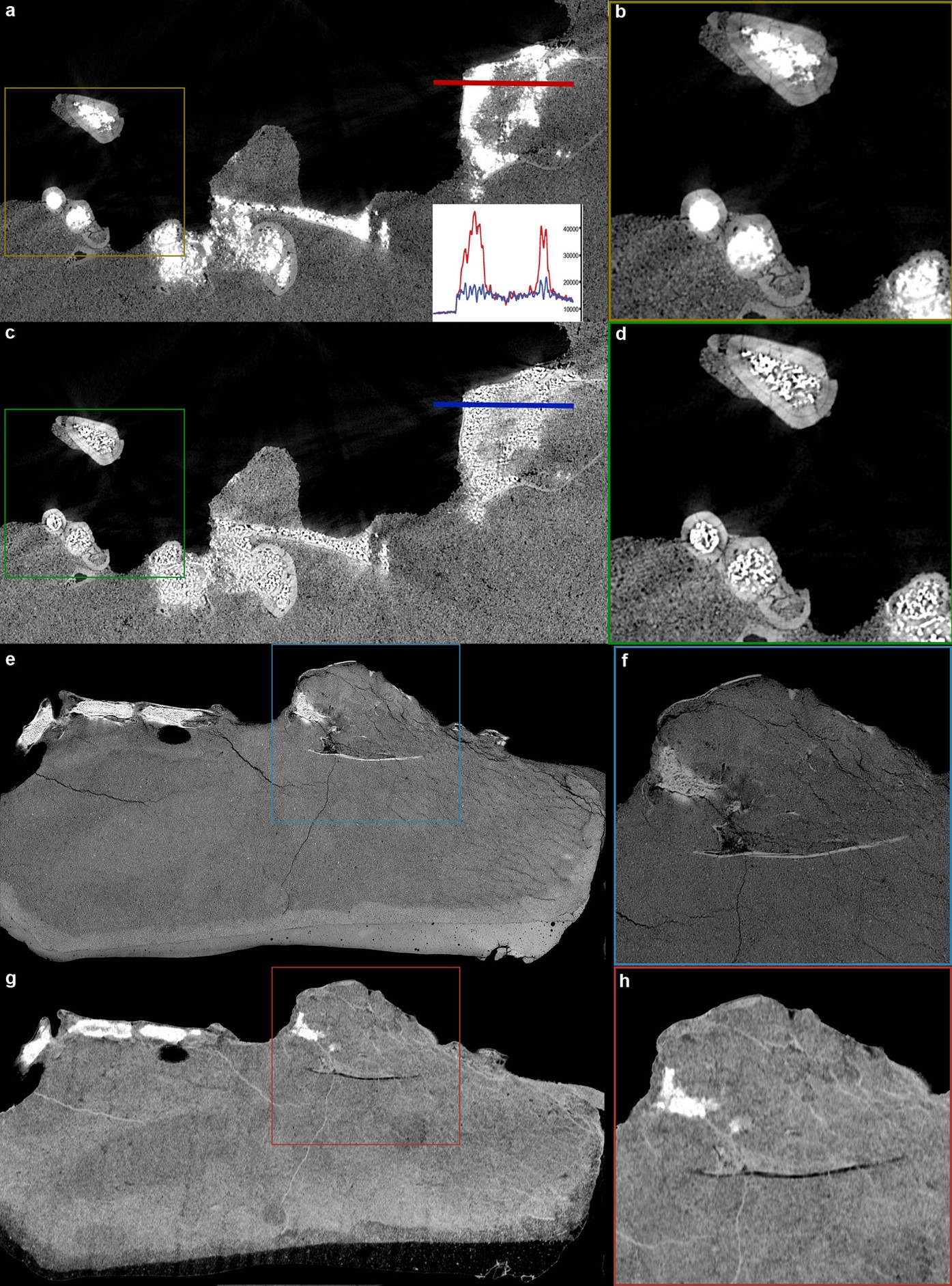 Extended Data Figure 1