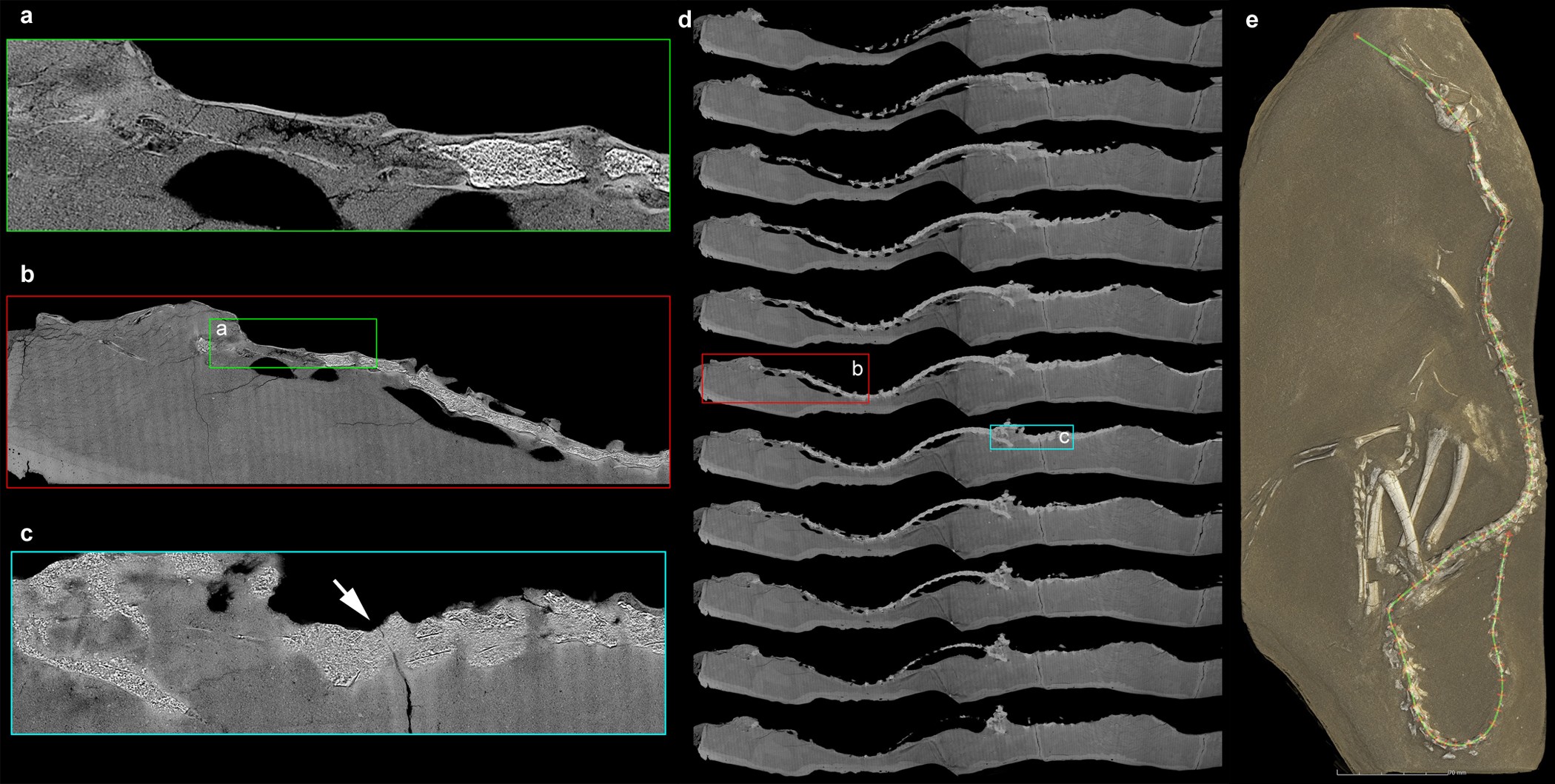 Extended Data Figure 2