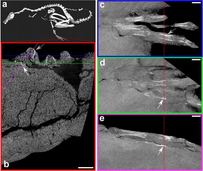 Extended Data Figure 3