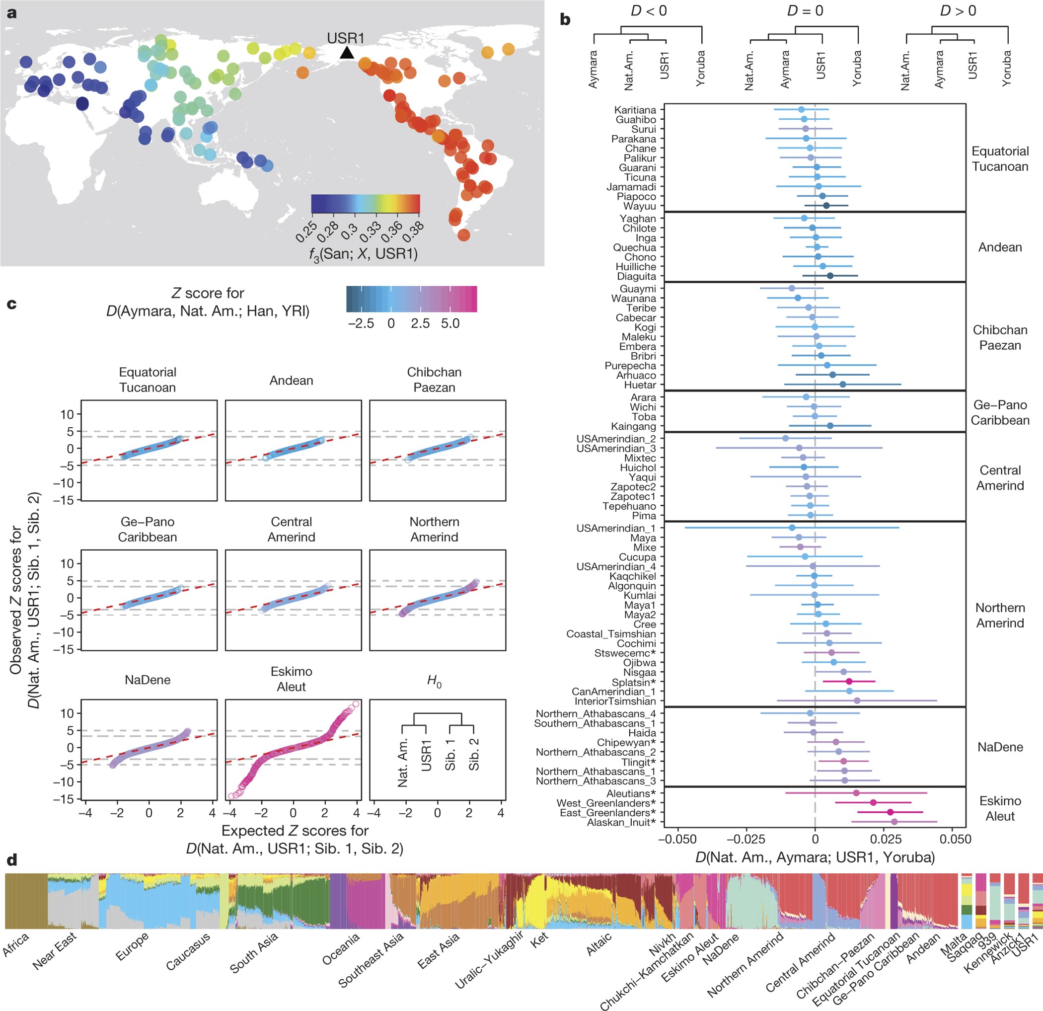 Terminal Pleistocene genome reveals first founding population of Native Americans | Nature