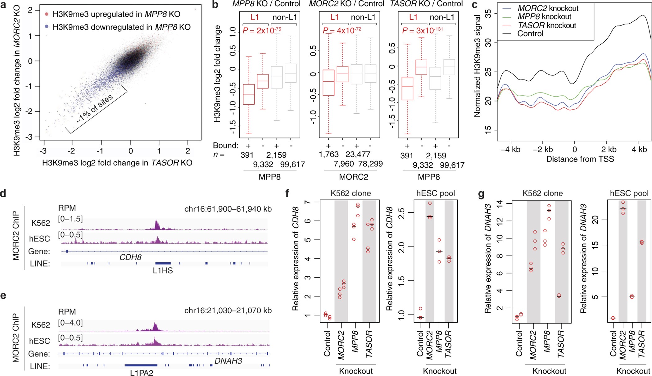 Extended Data Figure 9