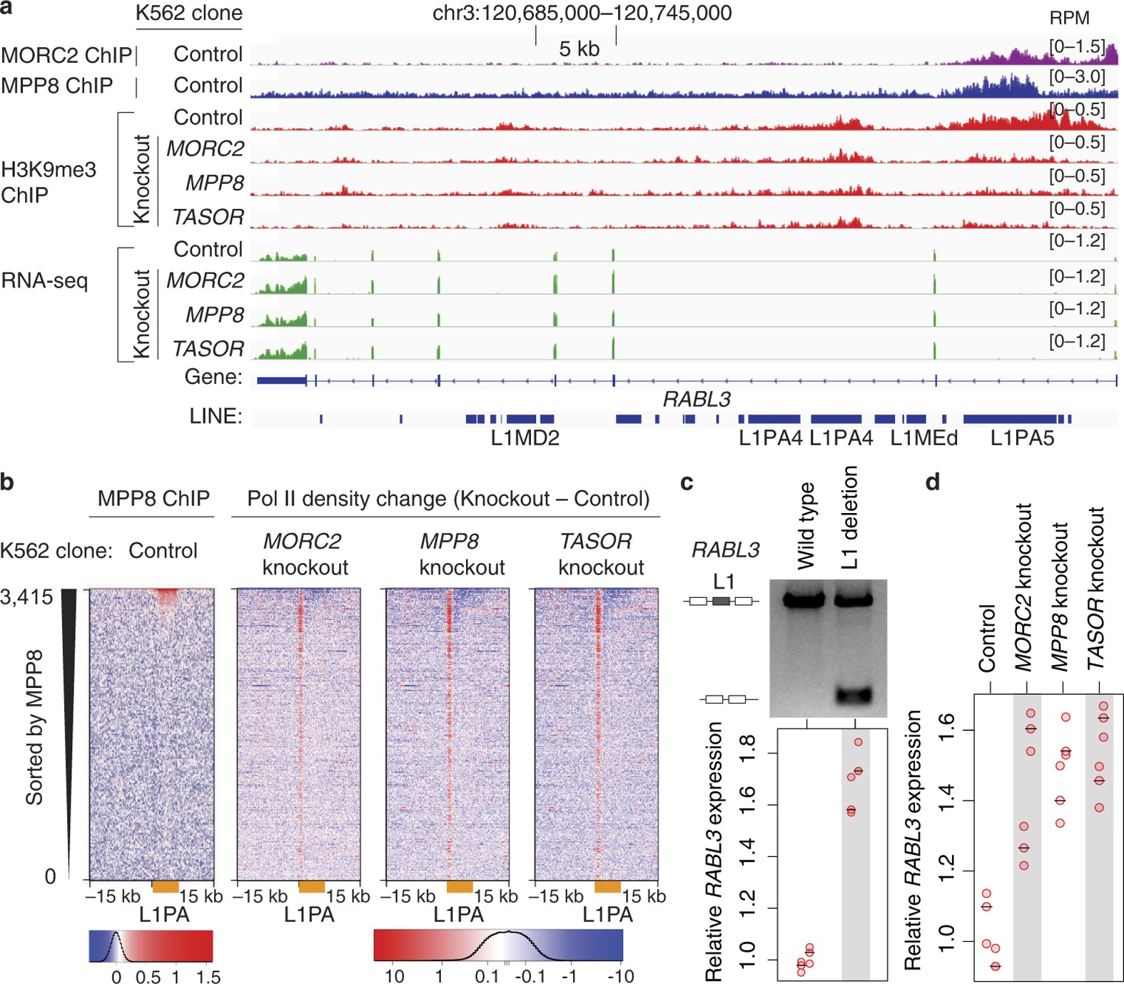 Extended Data Figure 10