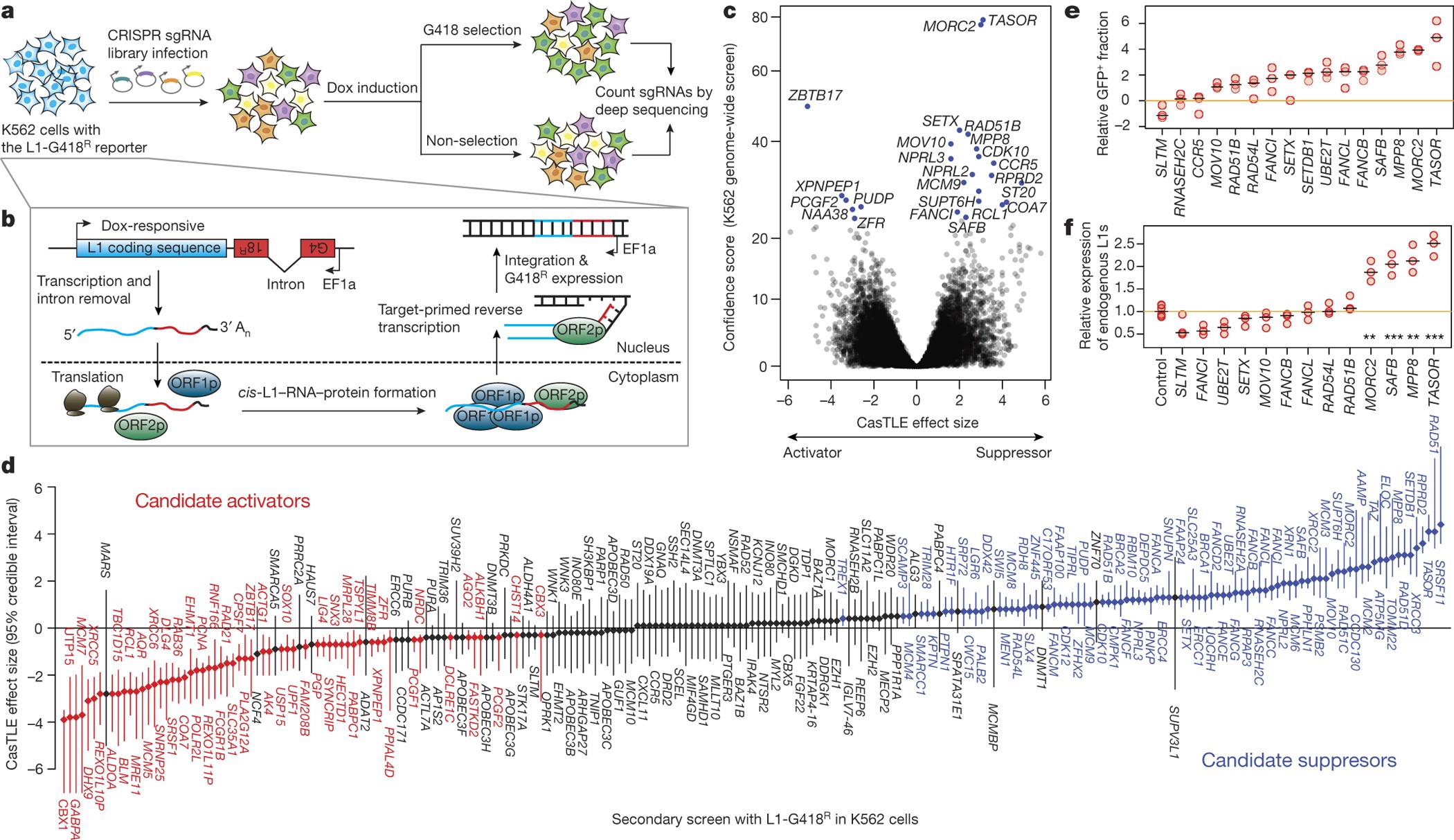 Selective Silencing Of Euchromatic L1s Revealed By Genome Wide