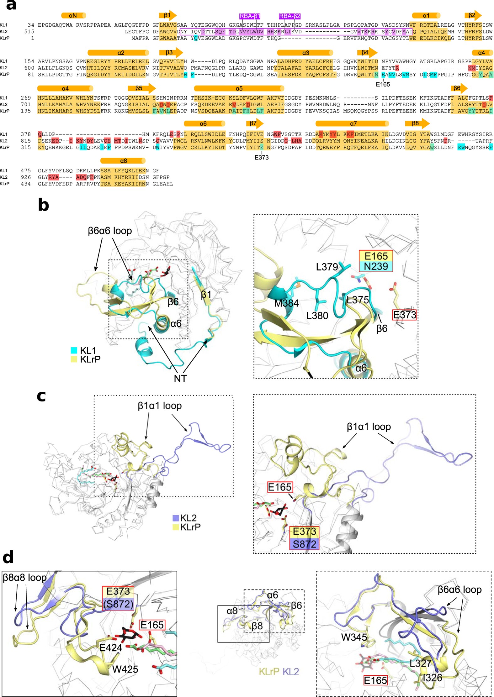 Extended Data Figure 5