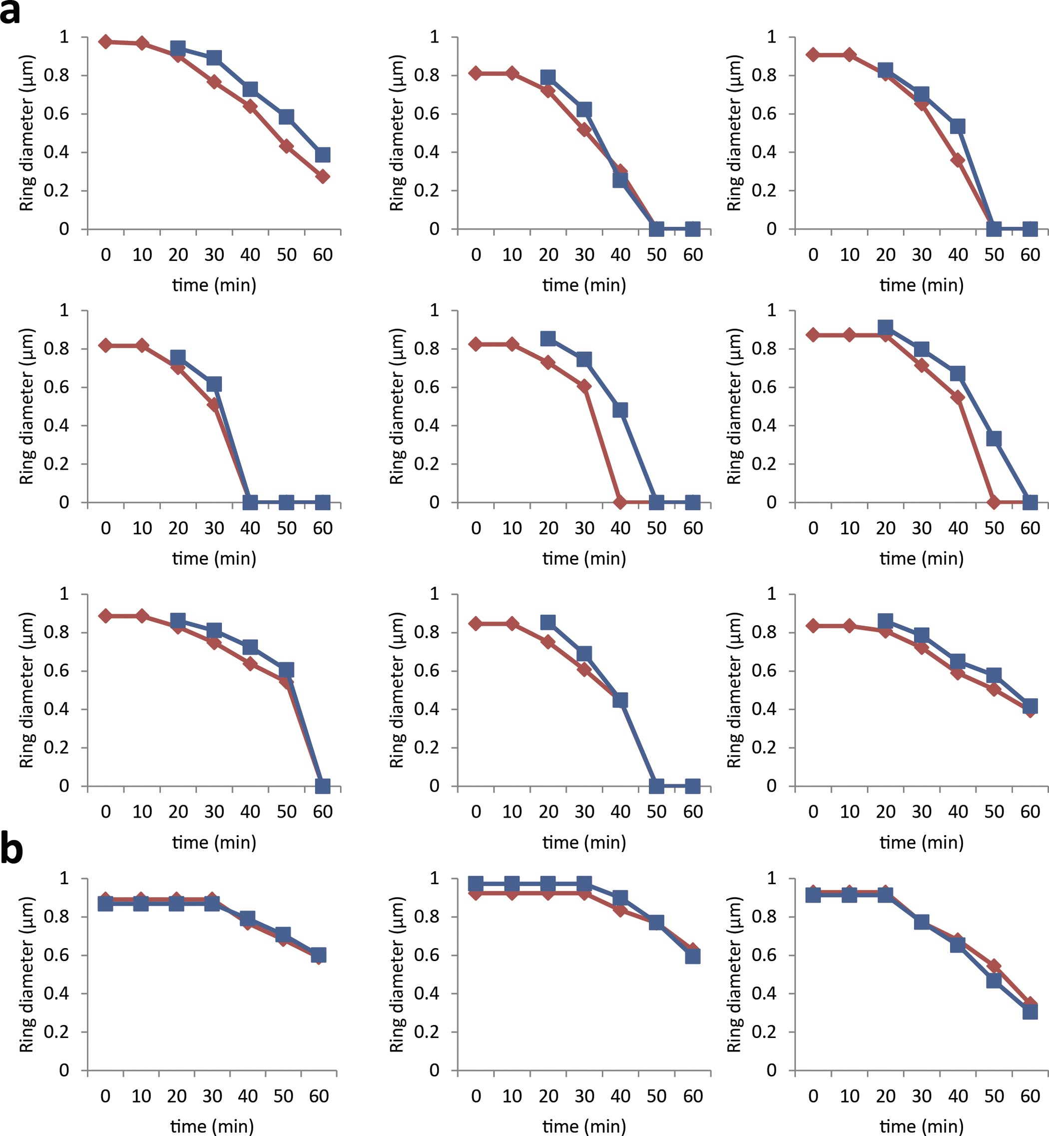 Extended Data Figure 9: Graphs of FtsZ, MurJ and FtsW ring diameter during constriction.