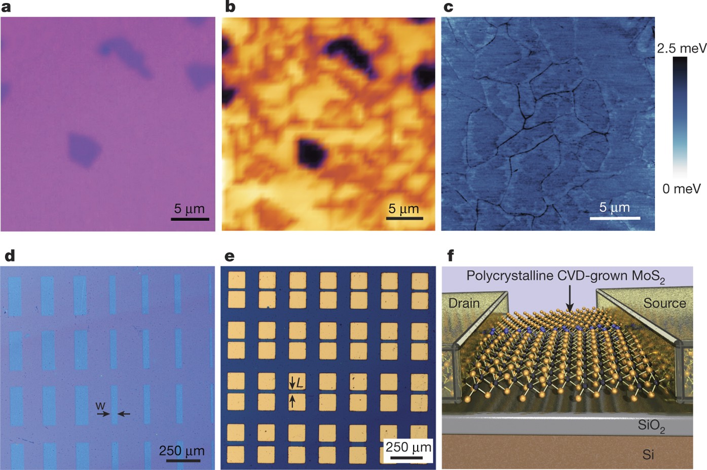 Multi Terminal Memtransistors From Polycrystalline Monolayer Molybdenum Disulfide Nature Multi Terminal Memtransistors From Polycrystalline Monolayer Molybdenum Disulfide Nature