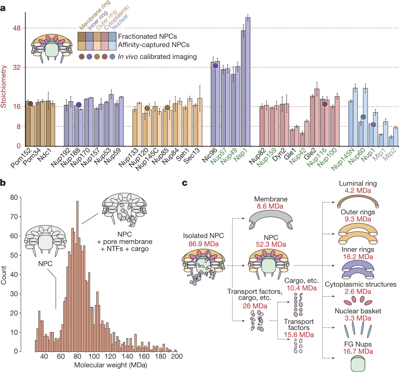 Integrative Structure And Functional Anatomy Of A Nuclear Pore Complex Nature Integrative Structure And Functional Anatomy Of A Nuclear Pore Complex Nature