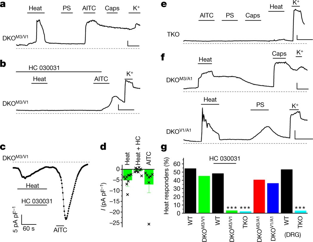 A Trp Channel Trio Mediates Acute Noxious Heat Sensing Nature