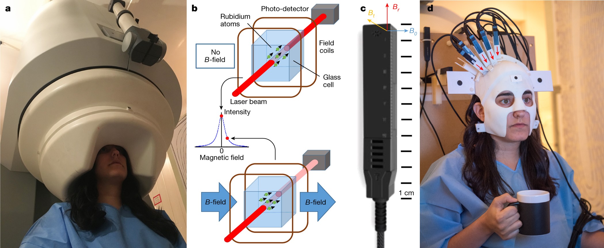 Moving magnetoencephalography towards real-world applications with a  wearable system | Nature