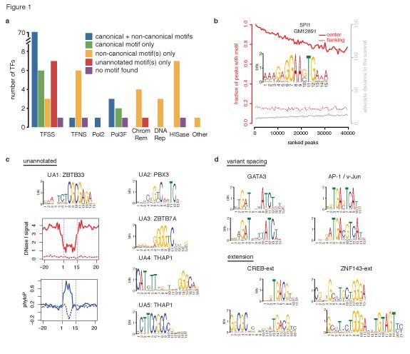 1 Transcription factor motifs | Nature