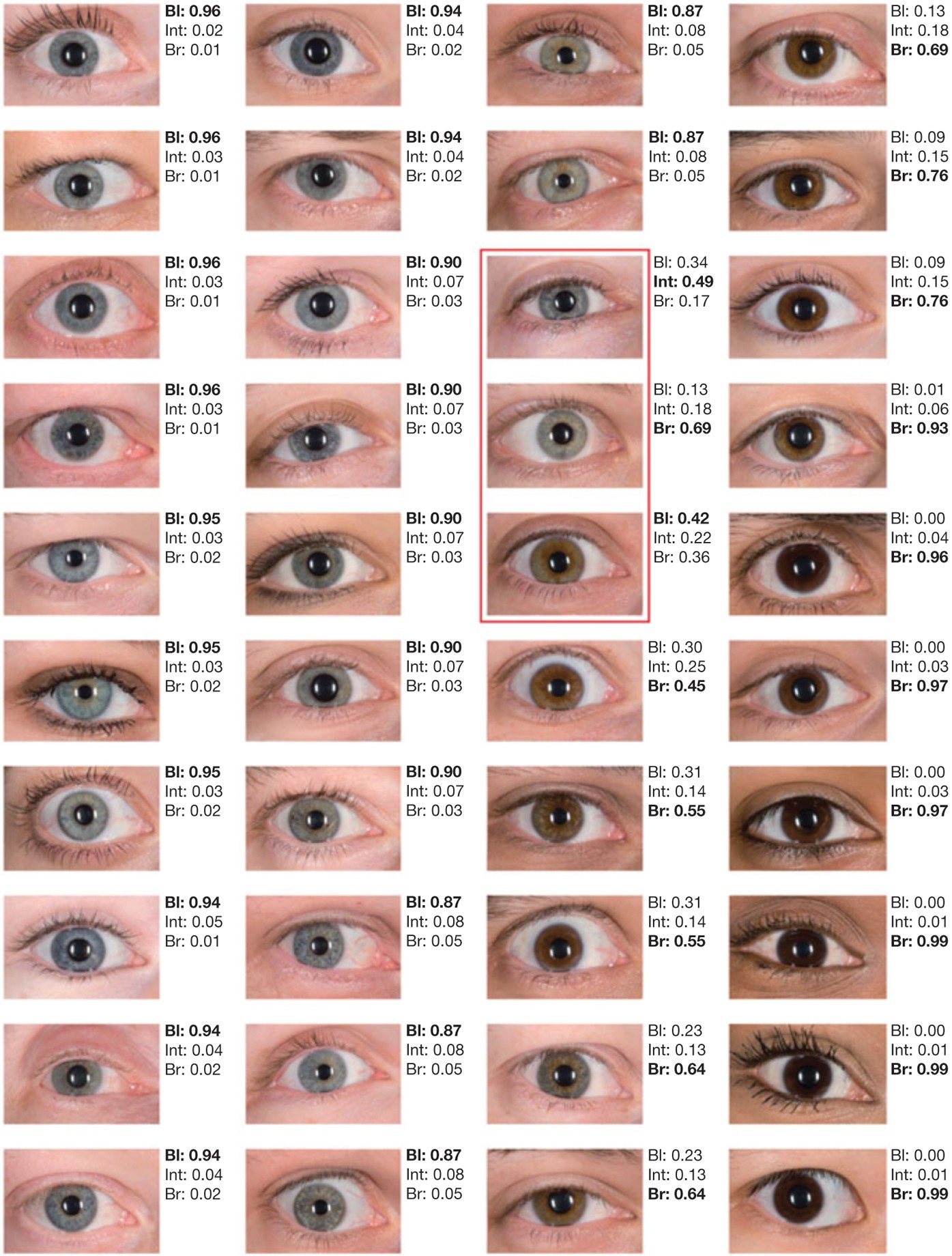 Как узнать какой цвет глаз. Цвет глаз. Оттенки глаз. Цвета глаз и их названия.