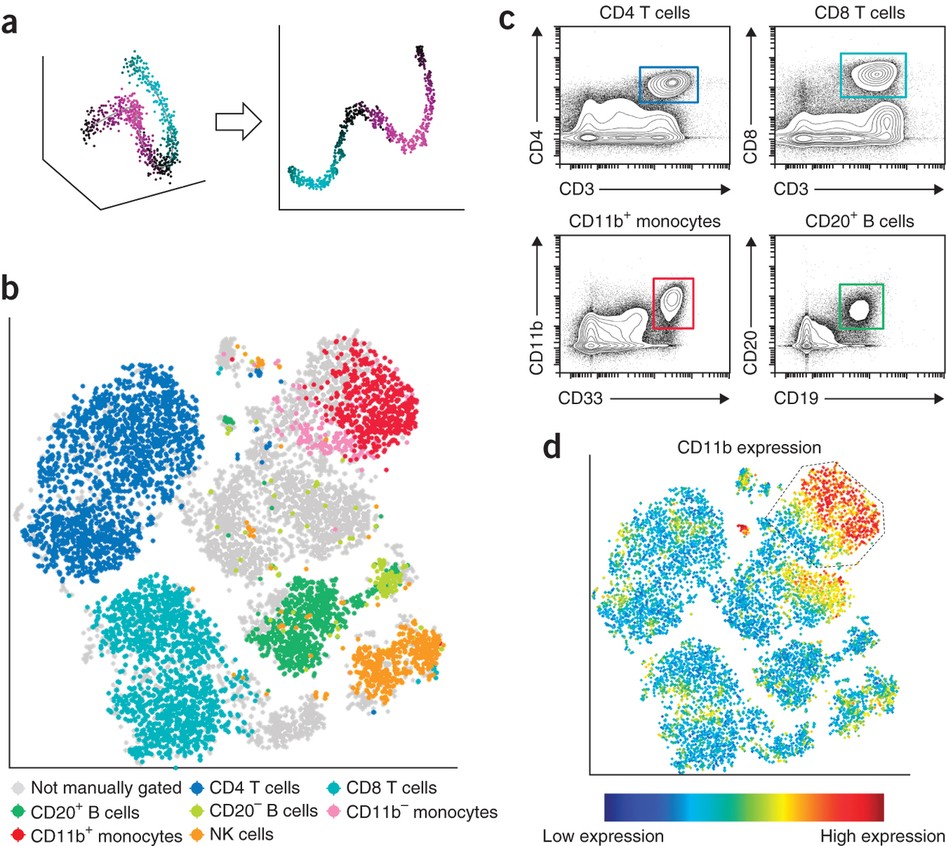 viSNE enables visualization of high dimensional single-cell data and reveals phenotypic heterogeneity of leukemia