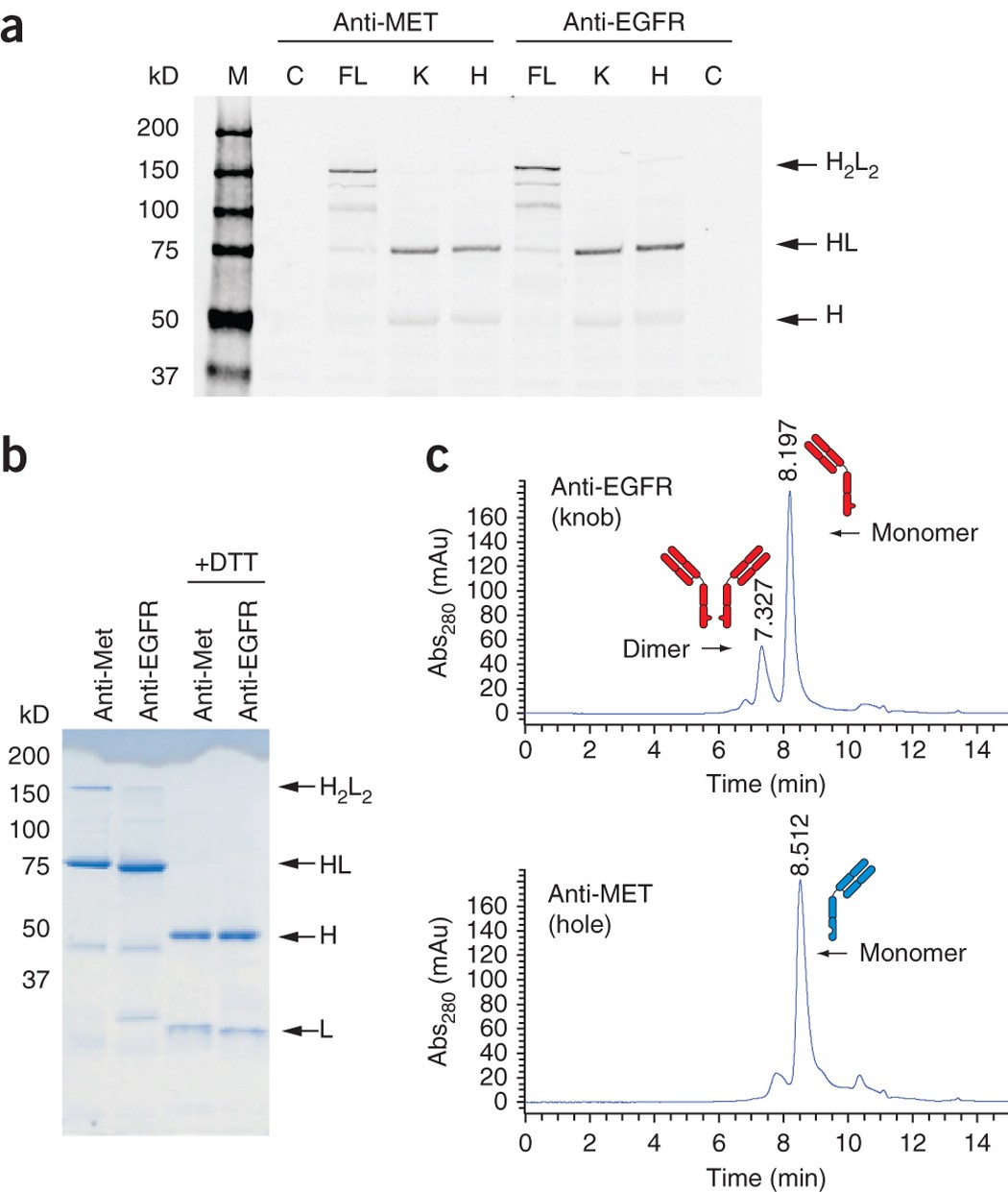 Bispecific antibodies with natural architecture produced by co-culture of  bacteria expressing two distinct half-antibodies | Nature Biotechnology
