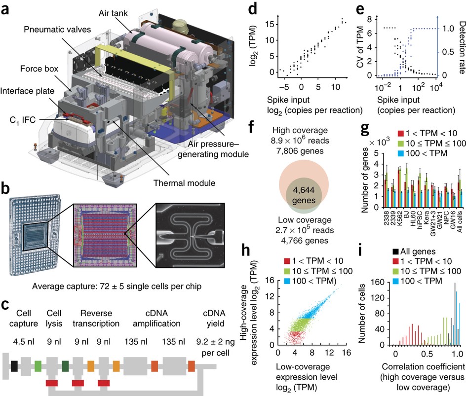 Low-coverage single-cell mRNA sequencing reveals cellular