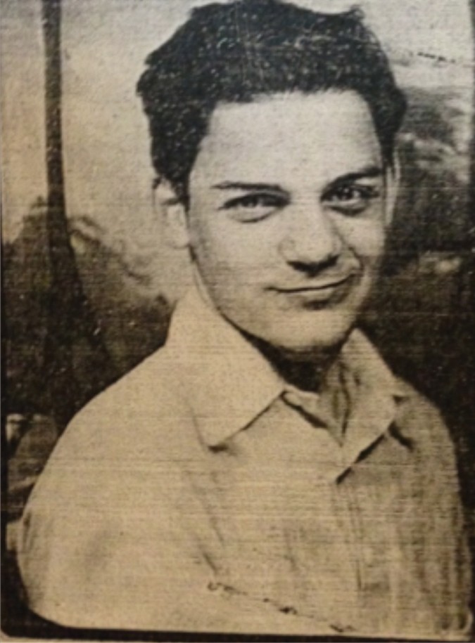 Get Herbert einstein mit google scholar Desktop Wallpaper Free