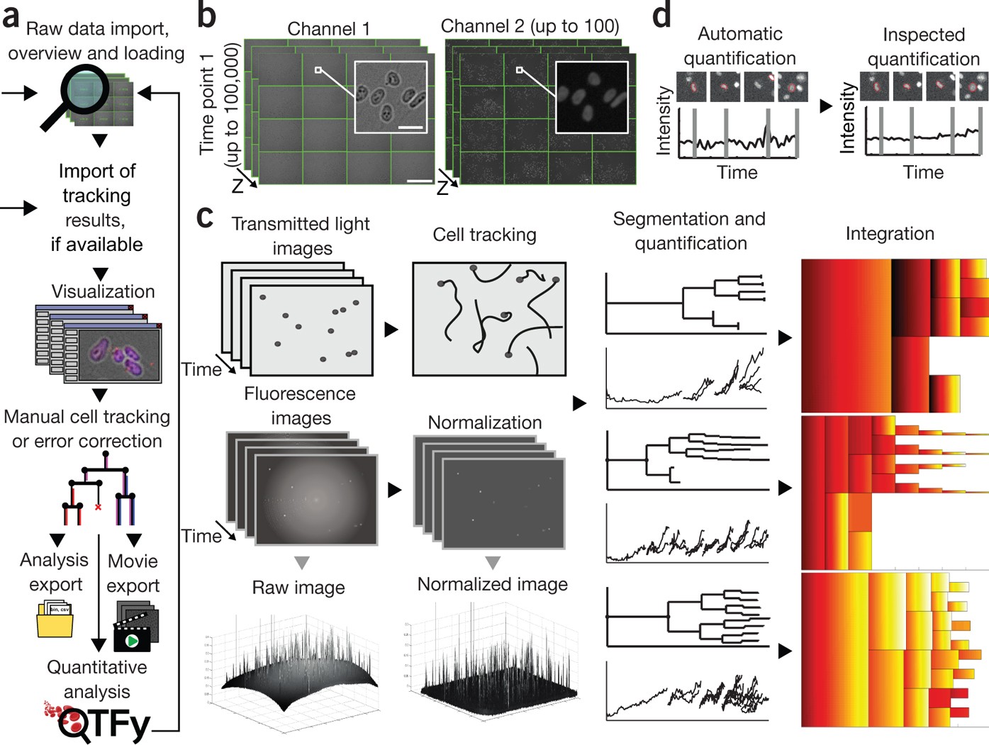Software tools for single-cell tracking and quantification of cellular and  molecular properties | Nature Biotechnology