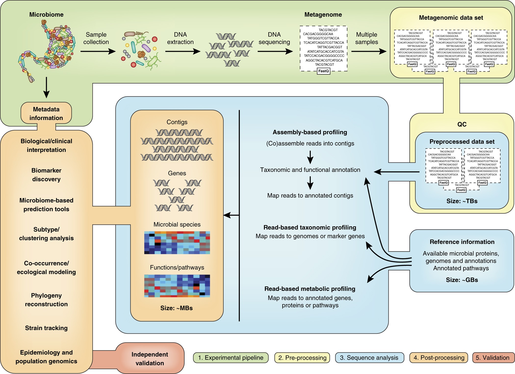 Shotgun metagenomics, from sampling to analysis | Nature Biotechnology