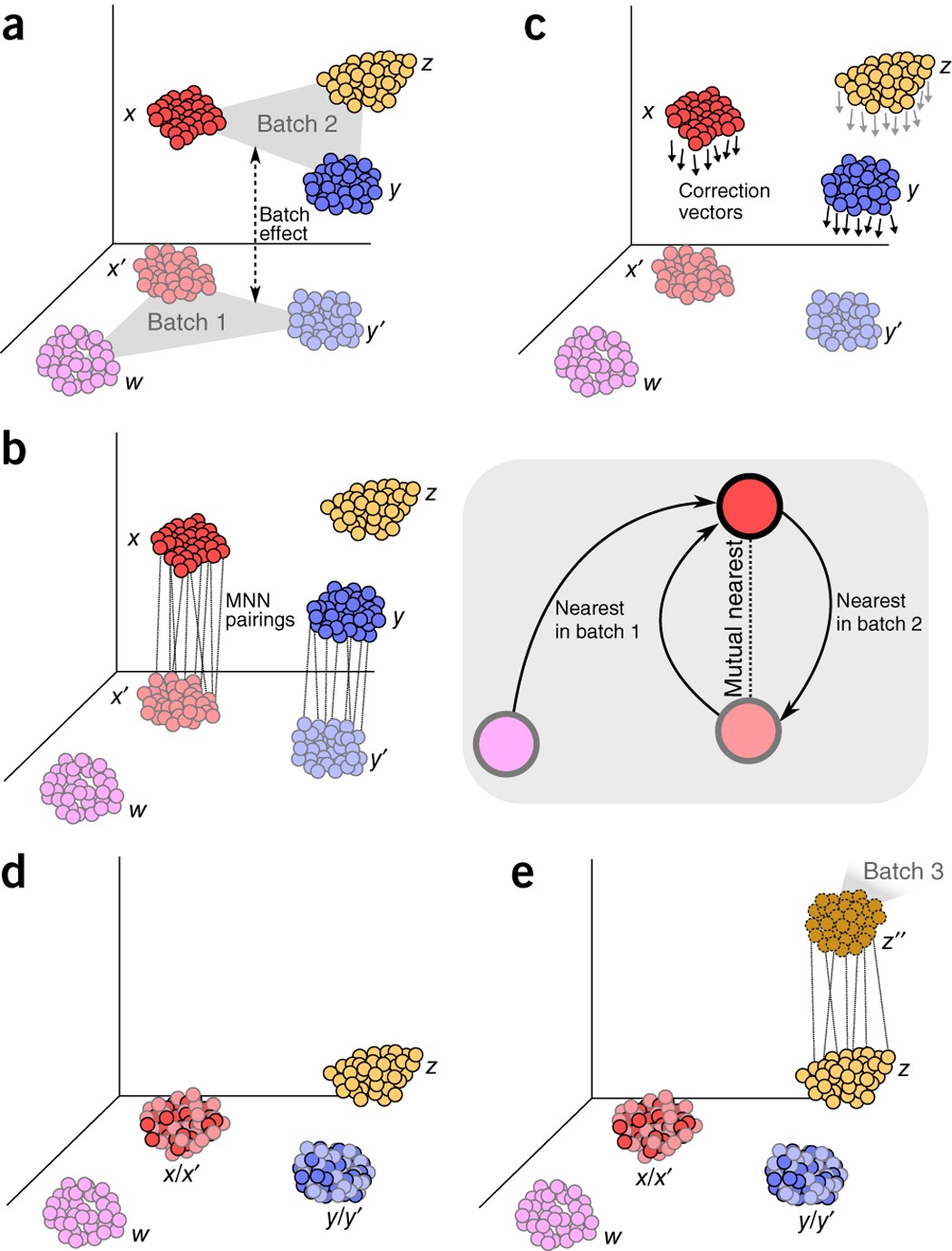 Batch effects in single-cell RNA-sequencing data are corrected by matching  mutual nearest neighbors | Nature Biotechnology