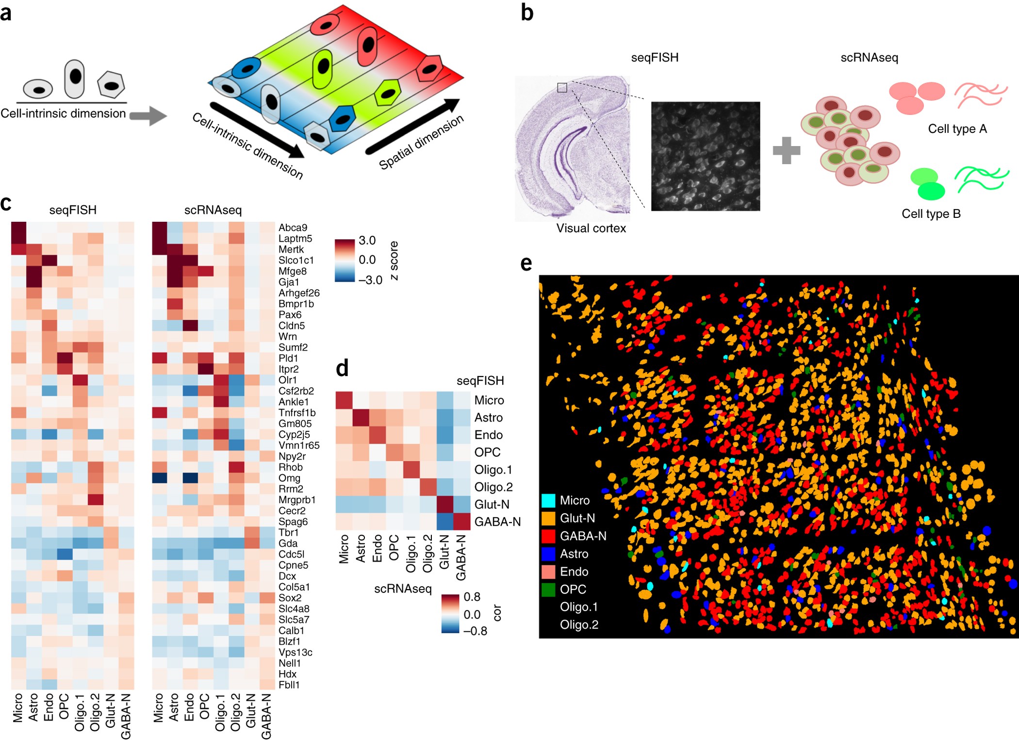 Identification Of Spatially Associated Subpopulations By Combining Scrnaseq And Sequential Fluorescence In Situ Hybridization Data Nature Biotechnology