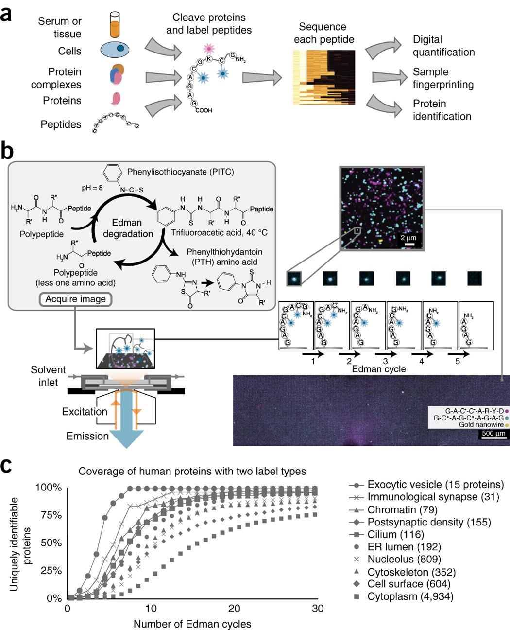 Highly parallel single-molecule identification of proteins in  zeptomole-scale mixtures | Nature Biotechnology