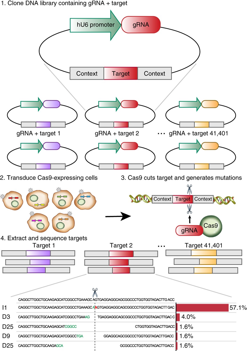 CRISPR-Cas12a induced DNA double-strand breaks are repaired by multiple  pathways with different mutation profiles in Magnaporthe oryzae