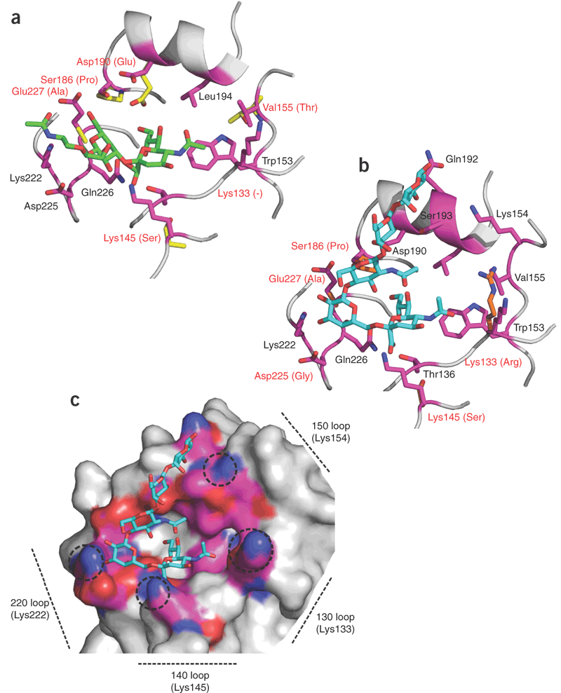 Extrapolating From Sequence The 09 H1n1 Swine Influenza Virus Nature Biotechnology