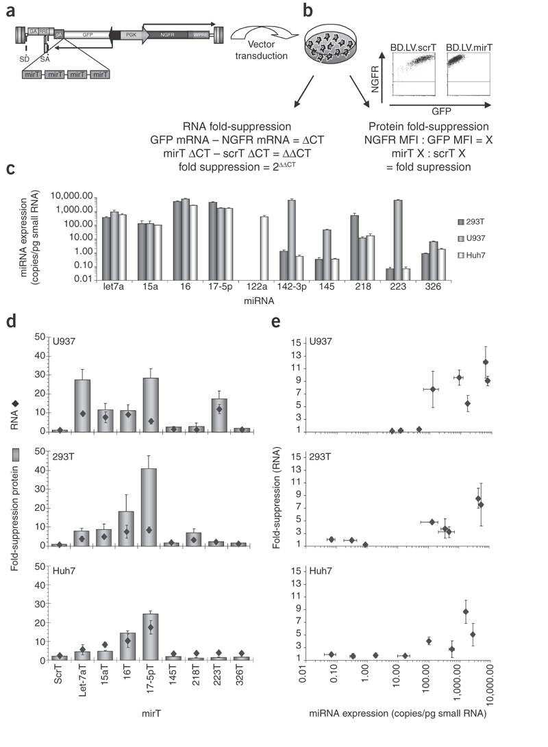 Endogenous microRNA can be broadly exploited to regulate transgene  expression according to tissue, lineage and differentiation state | Nature  Biotechnology