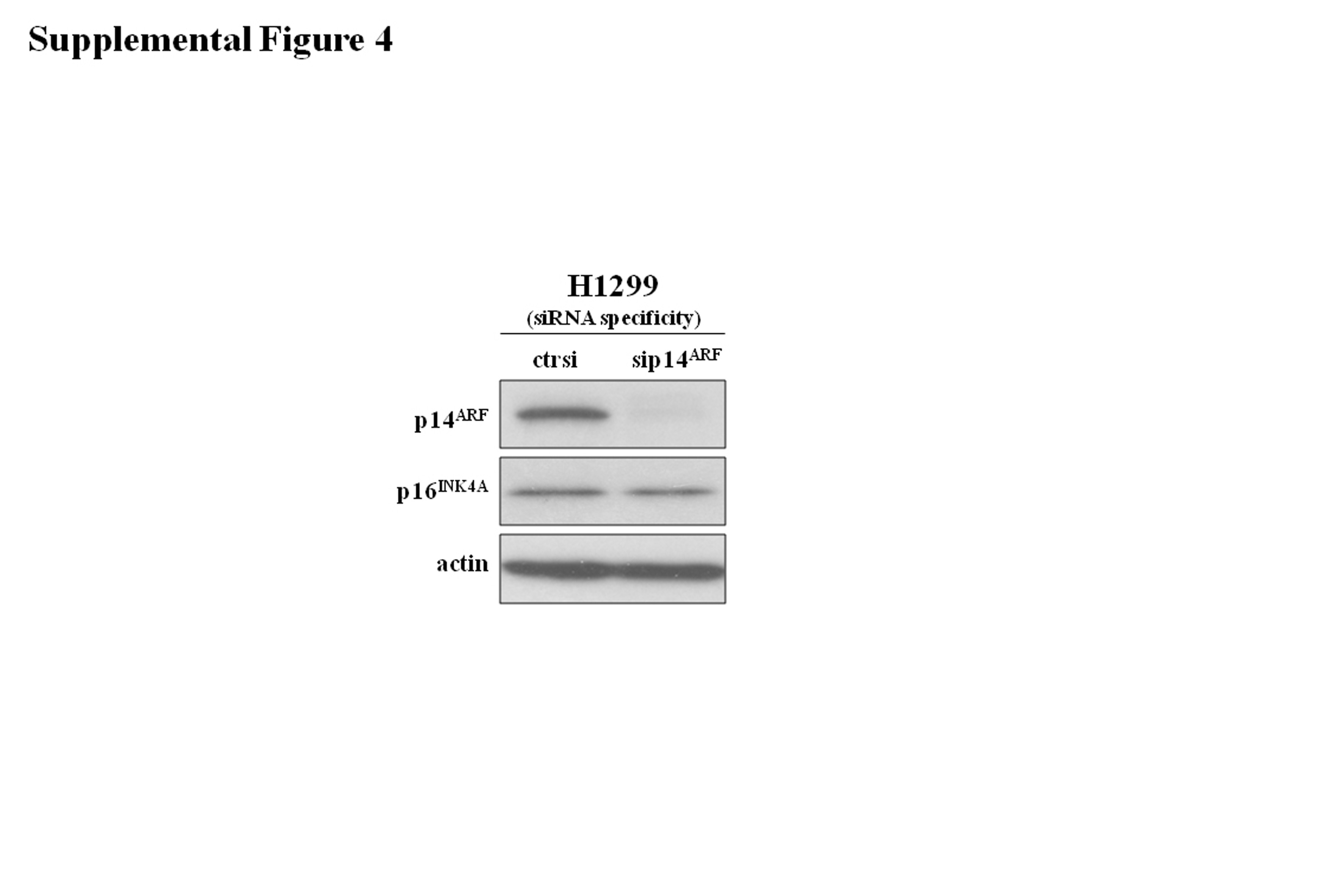 Supplementary Figure 4