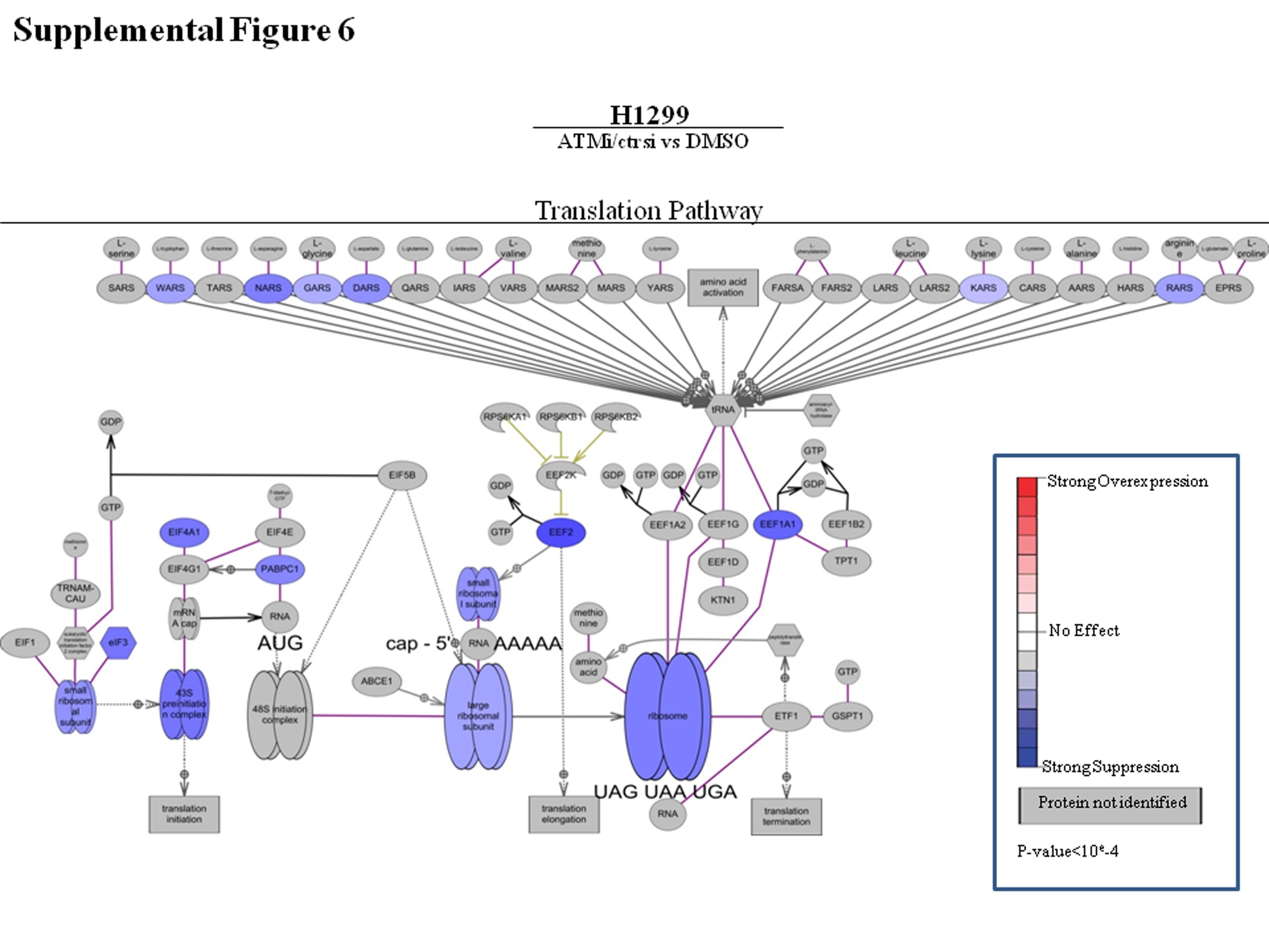 Supplementary Figure 6