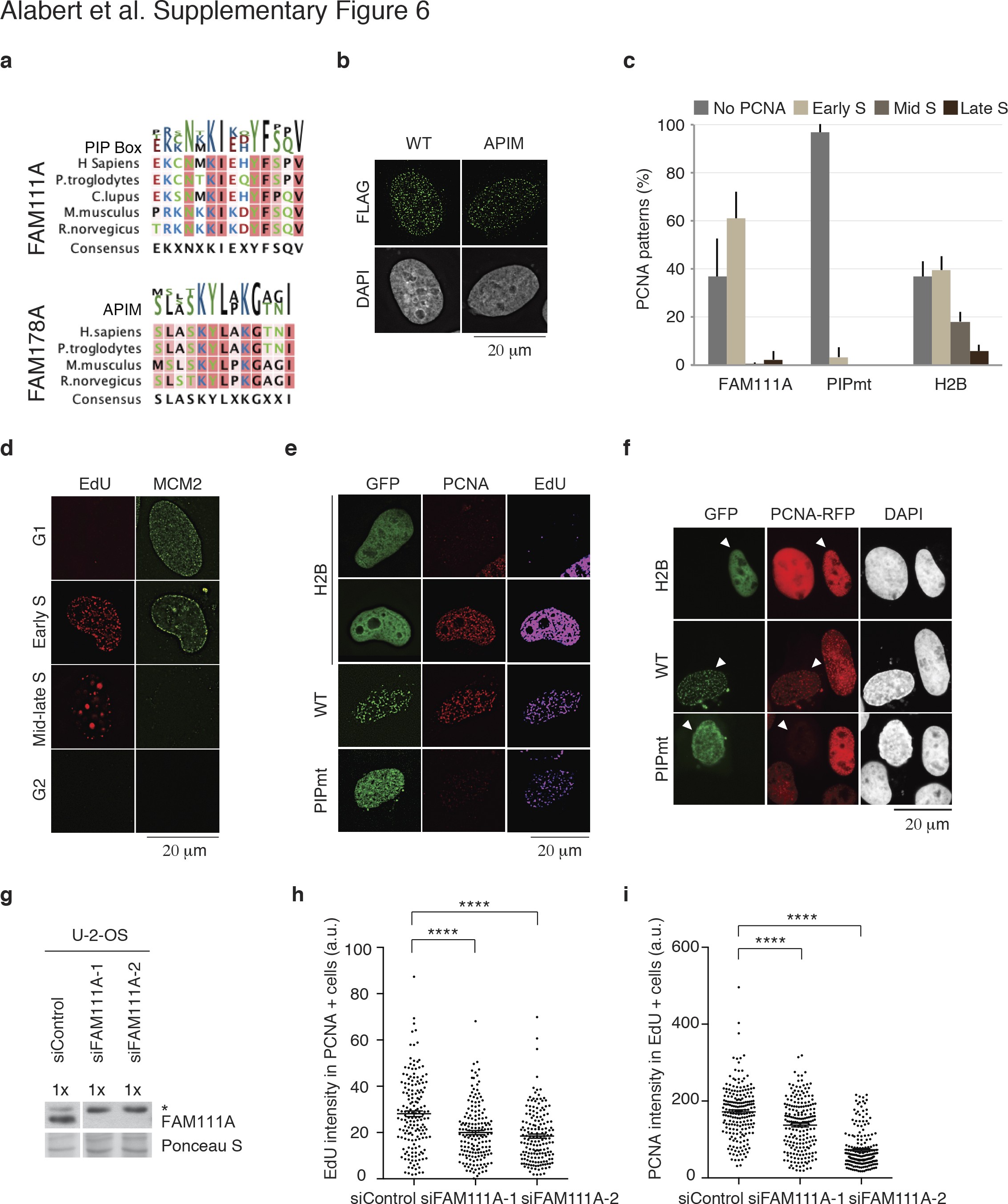 Supplementary Figure 6