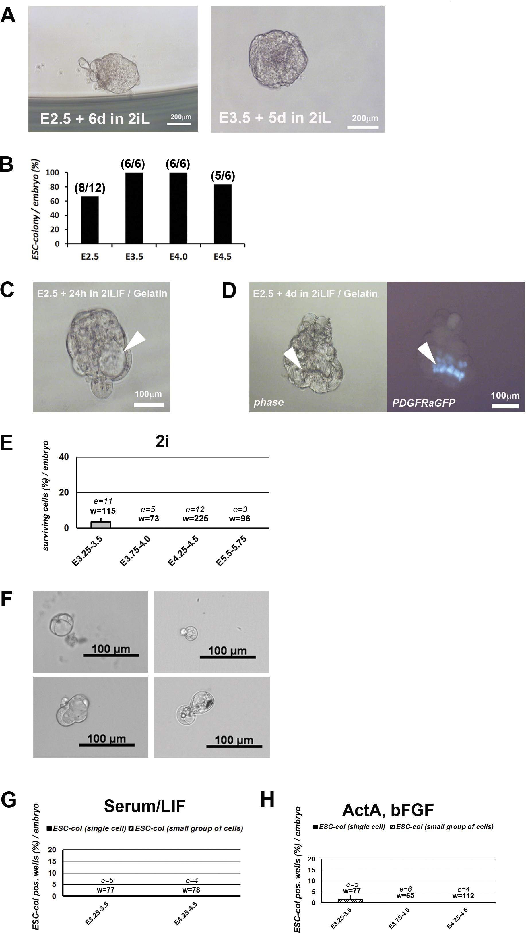 Supplementary Figure 3