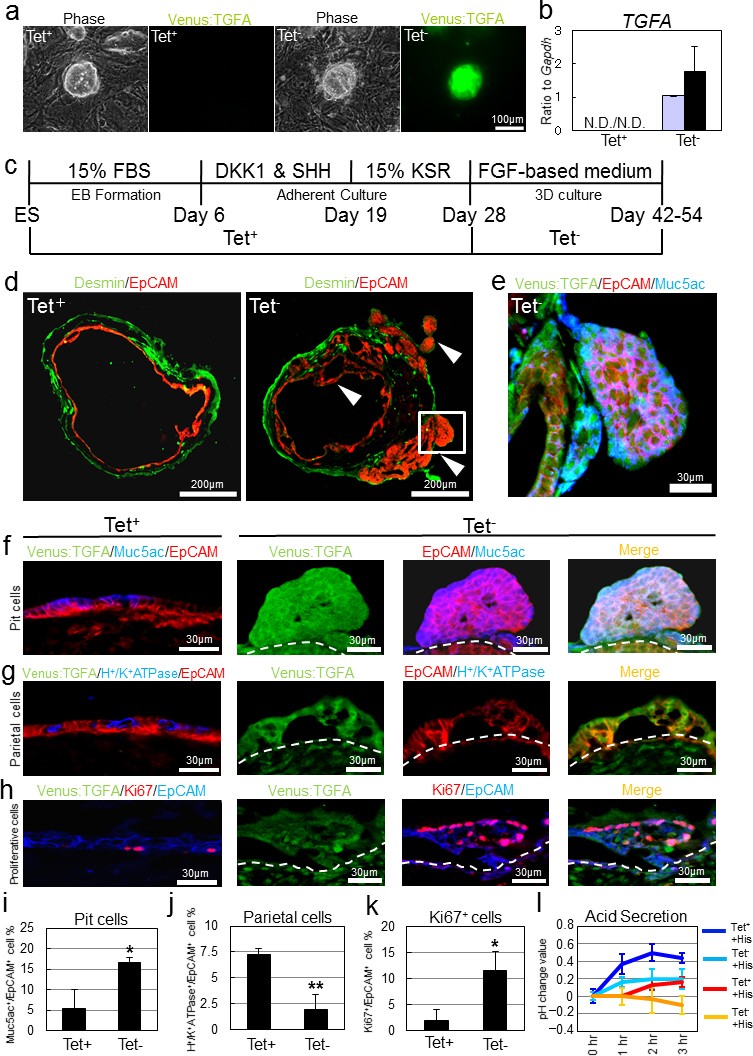 Supplementary Figure 6