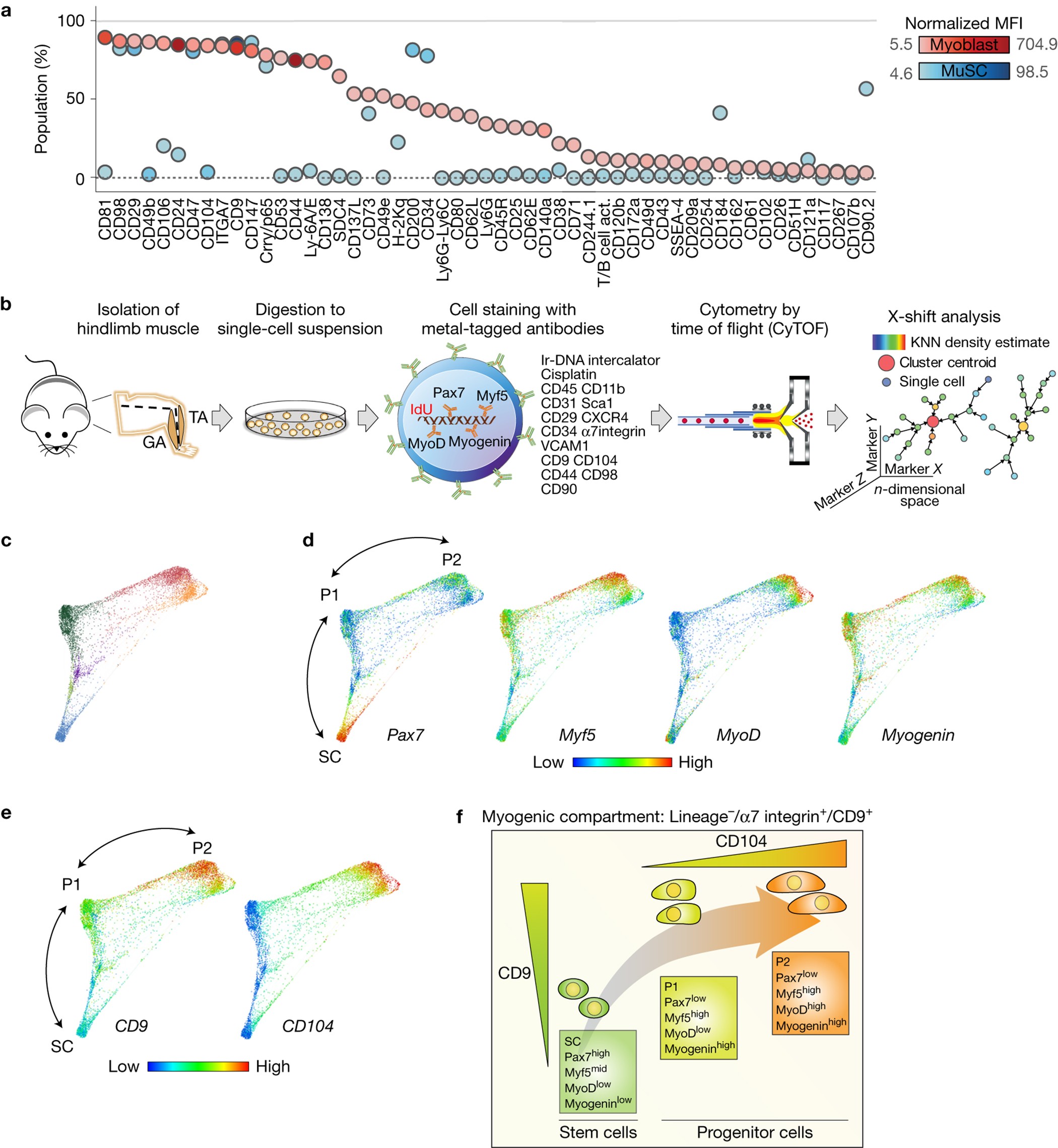 Bd Biosciences Human Cd Marker Chart