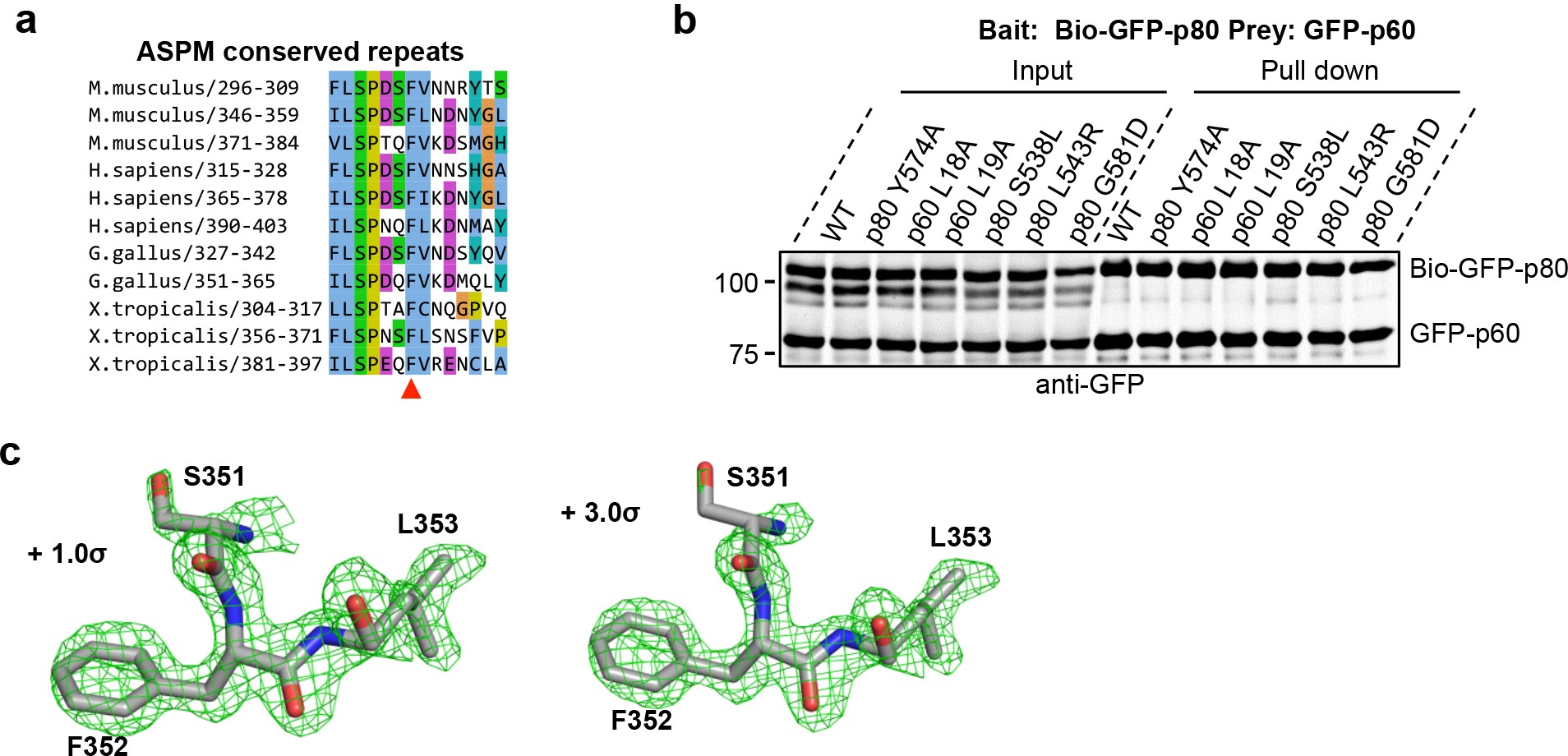 Supplementary Figure 3