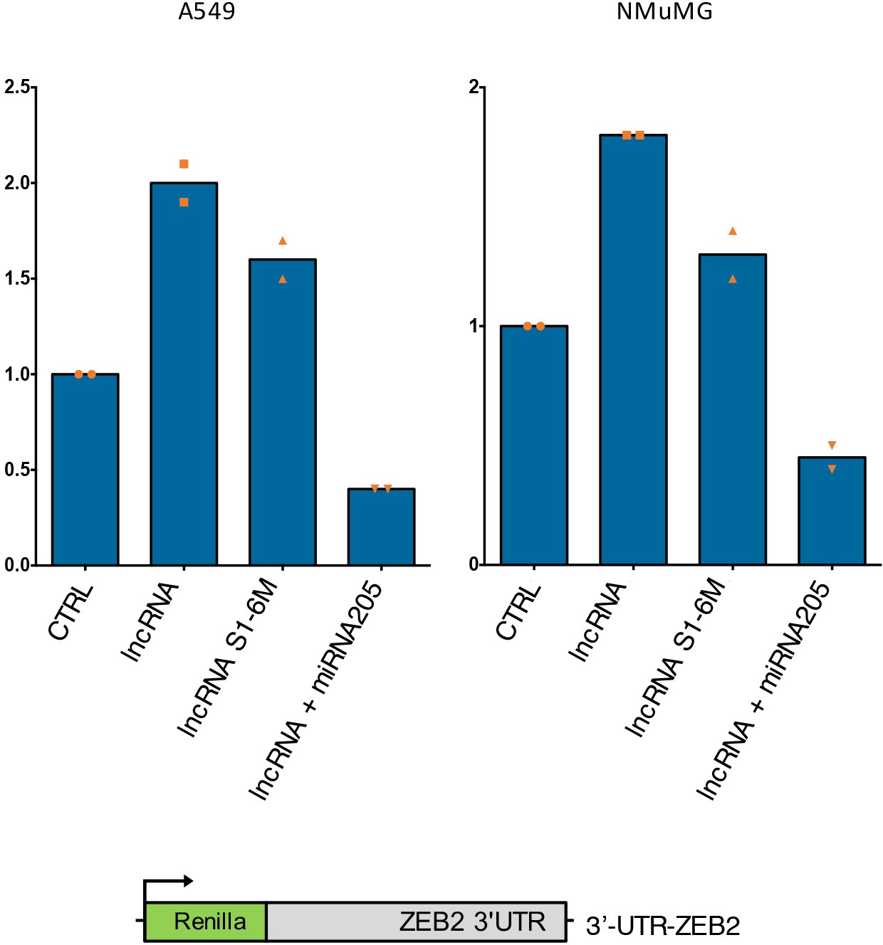 Supplementary Figure 4